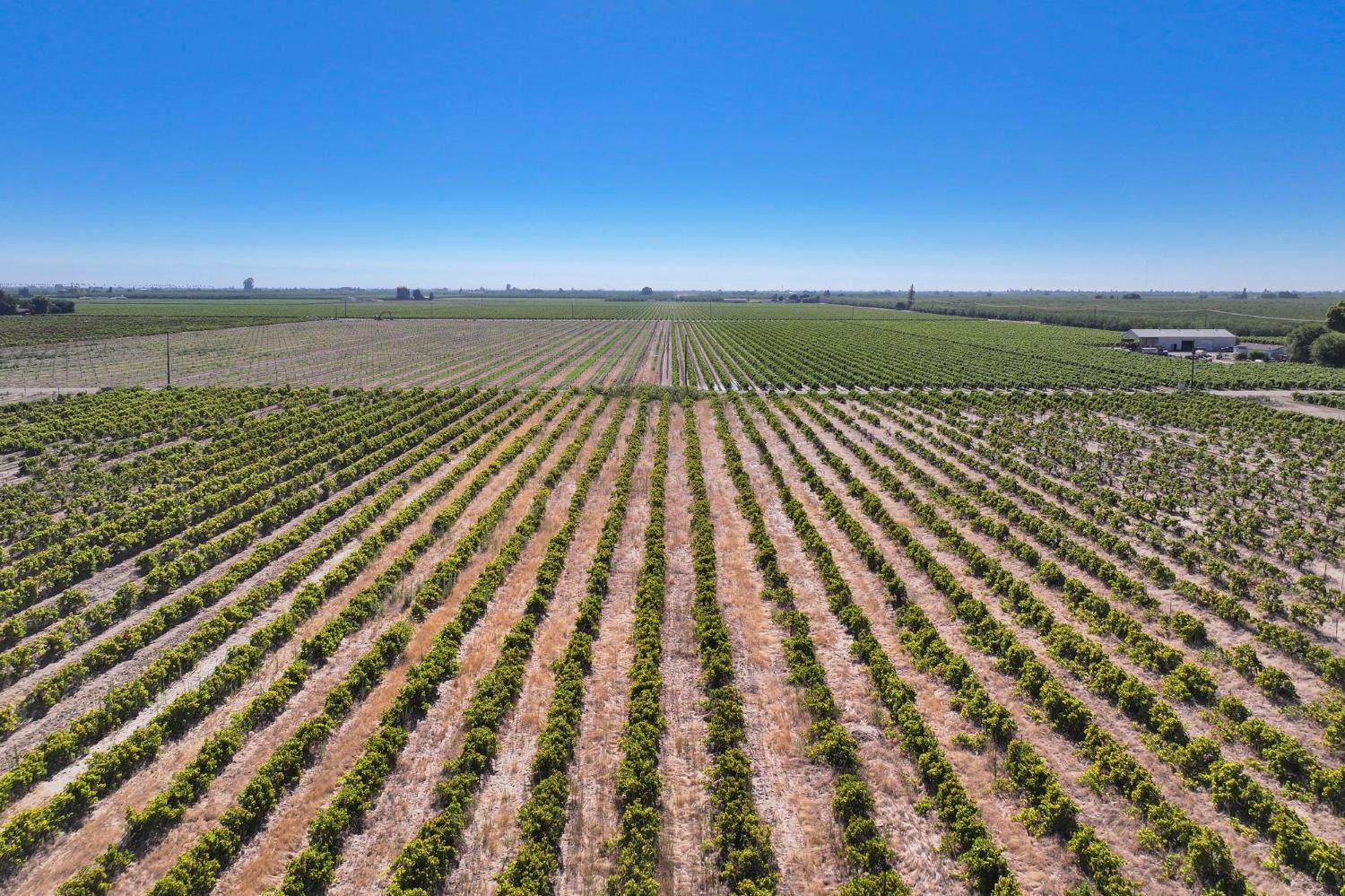 1128 N Trinity Ave, Kerman, CA 93630
