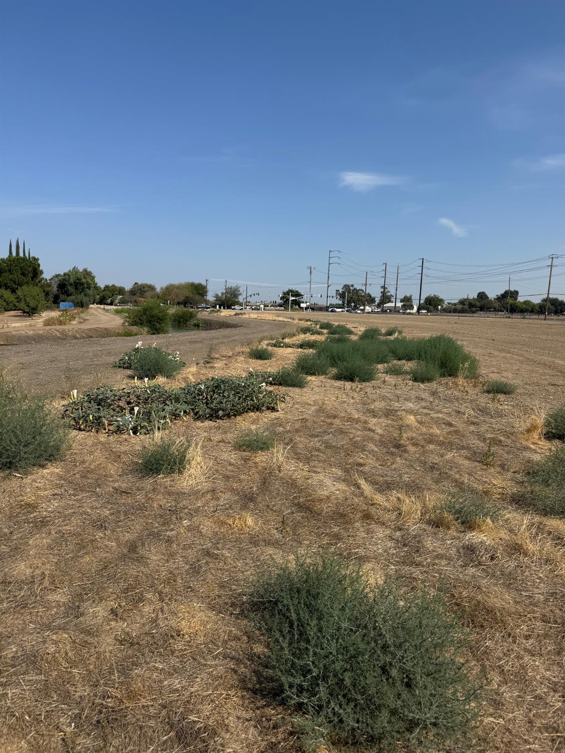 12201 W Valpico Rd, Tracy, CA 95377