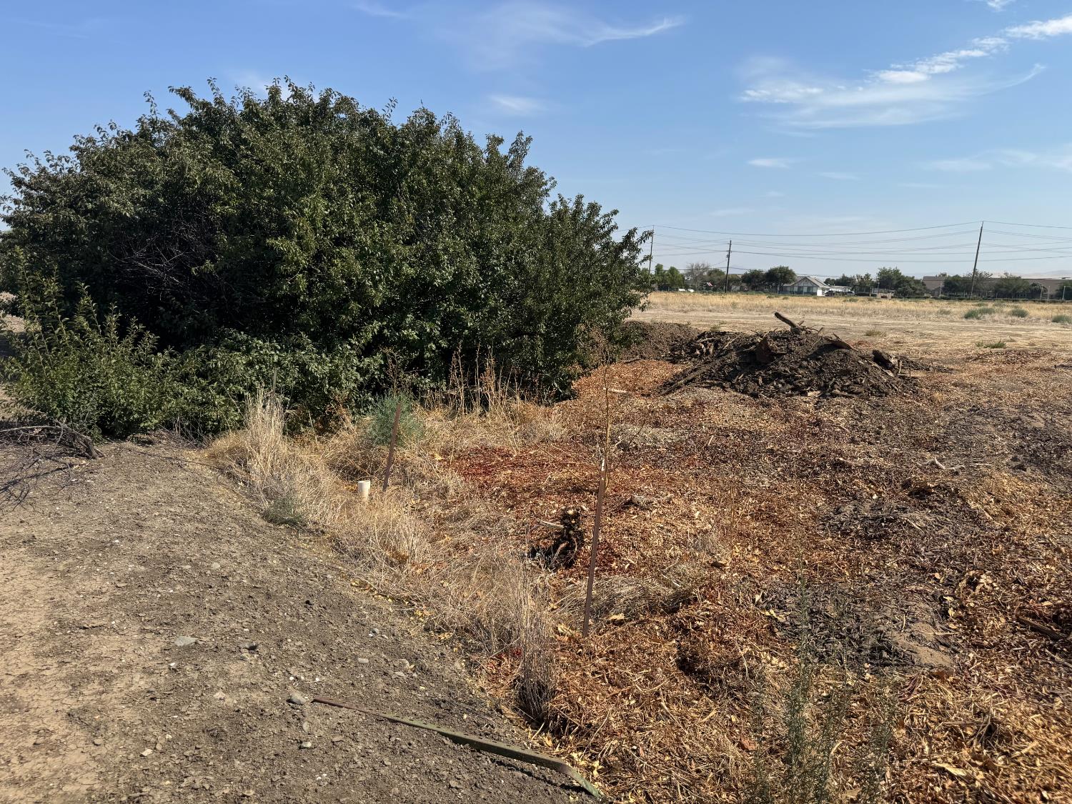 12201 W Valpico Rd, Tracy, CA 95377