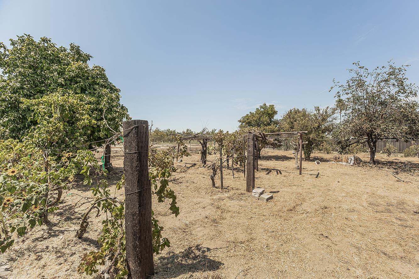 9016 E Dinuba Ave, Selma, CA 93662