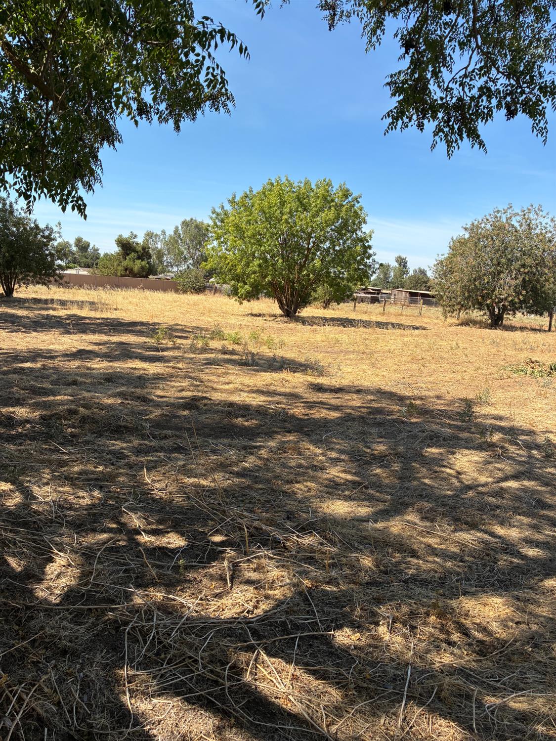 28686 Avenue 13 1/2, Madera, CA 93638