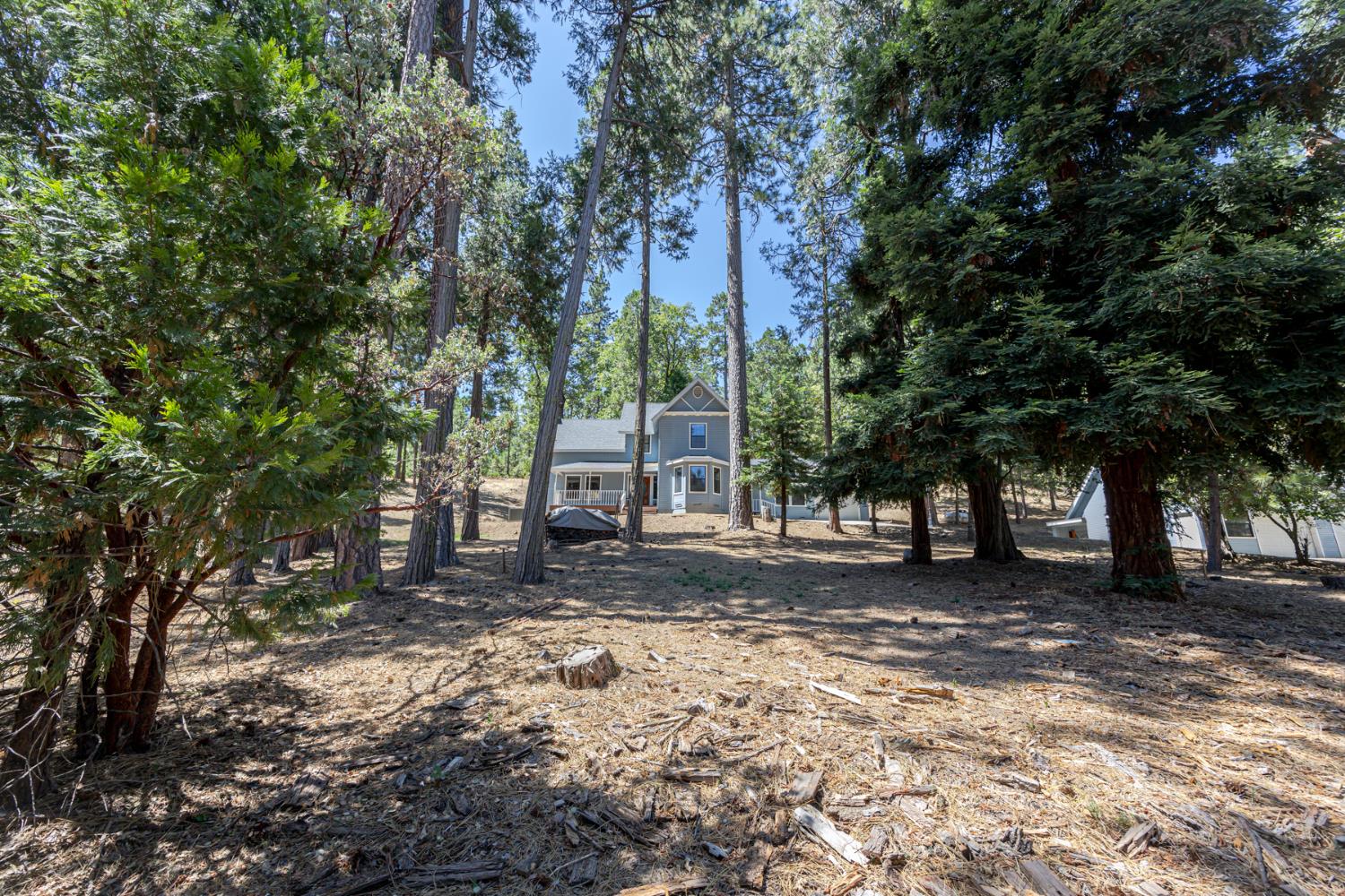 36232 Finegold Creek Dr, North Fork, CA 93643