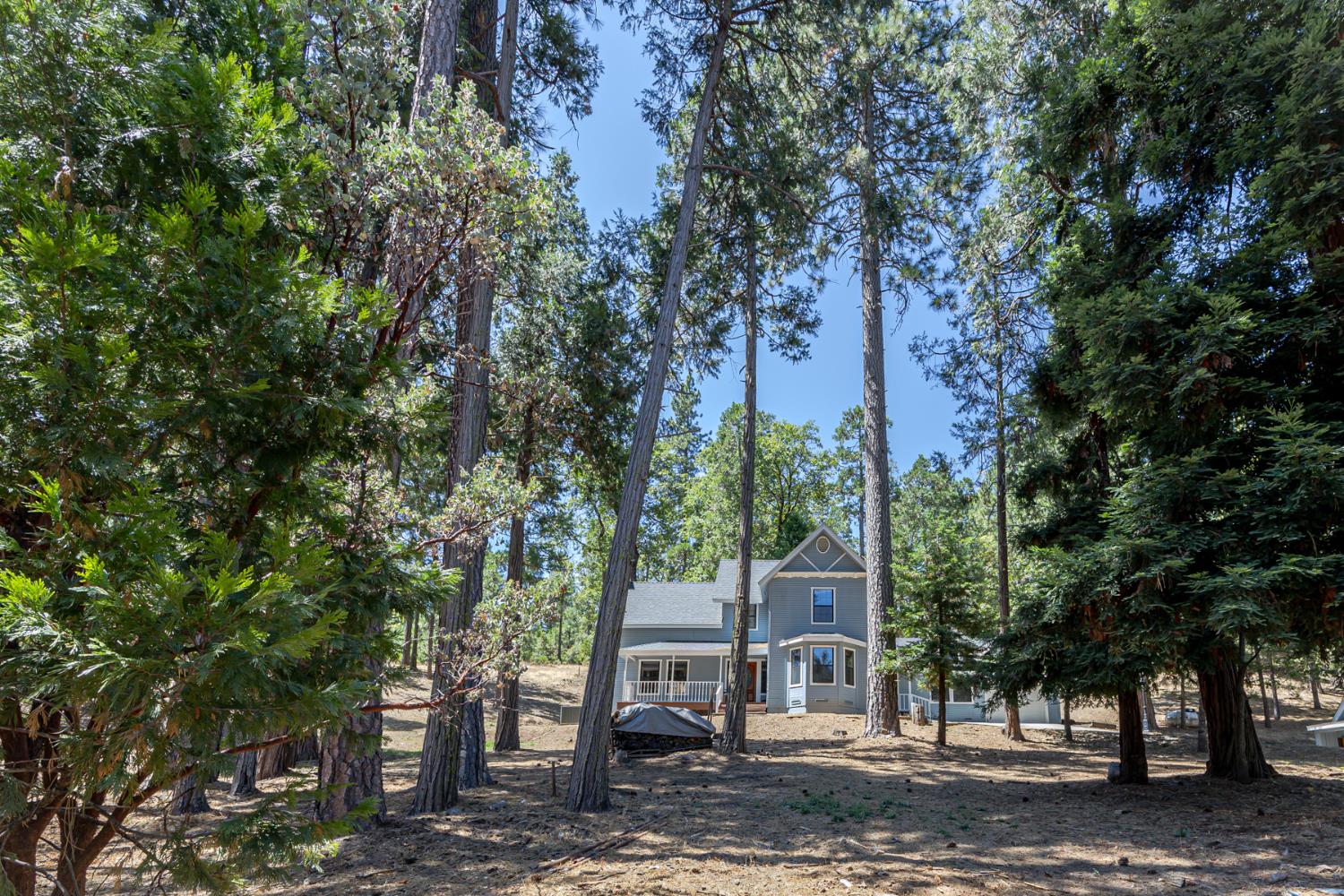 36232 Finegold Creek Dr, North Fork, CA 93643