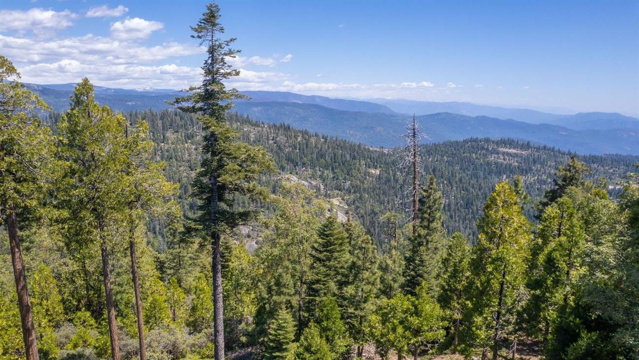 42595 Canyon Vista Ln, Shaver Lake, CA 93664