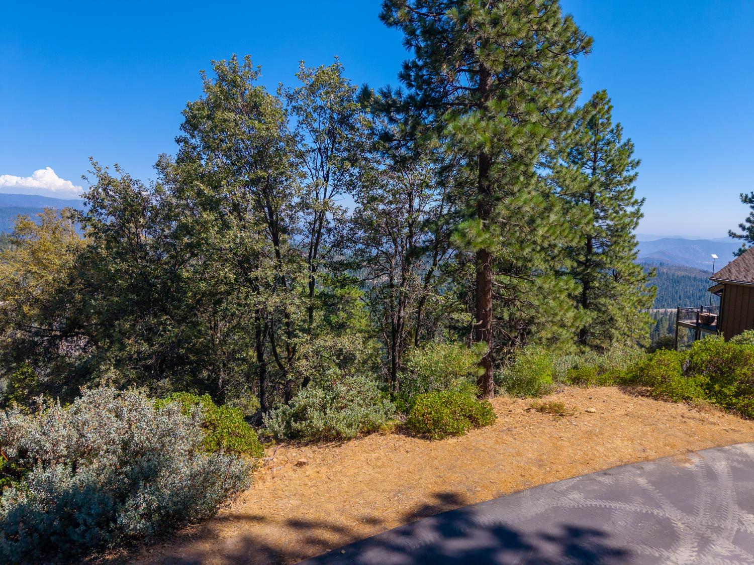 42595 Canyon Vista Ln, Shaver Lake, CA 93664
