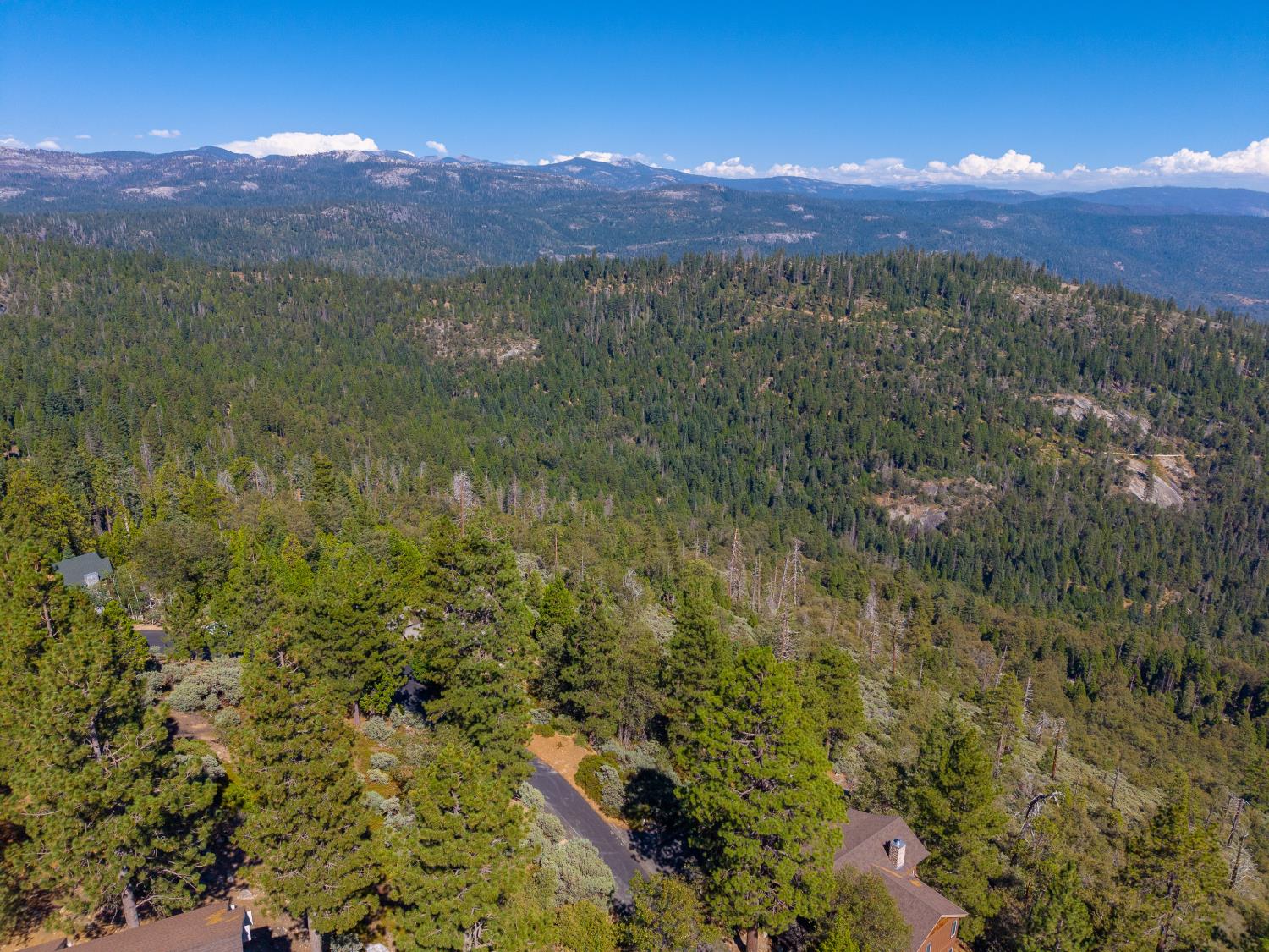 42595 Canyon Vista Ln, Shaver Lake, CA 93664