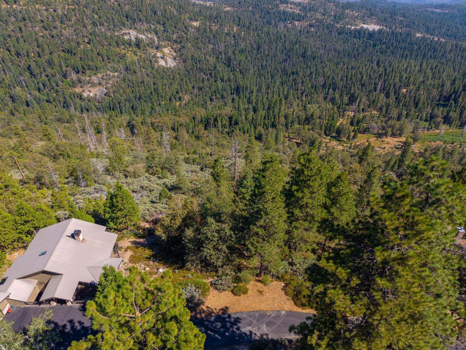 42595 Canyon Vista Ln, Shaver Lake, CA 93664