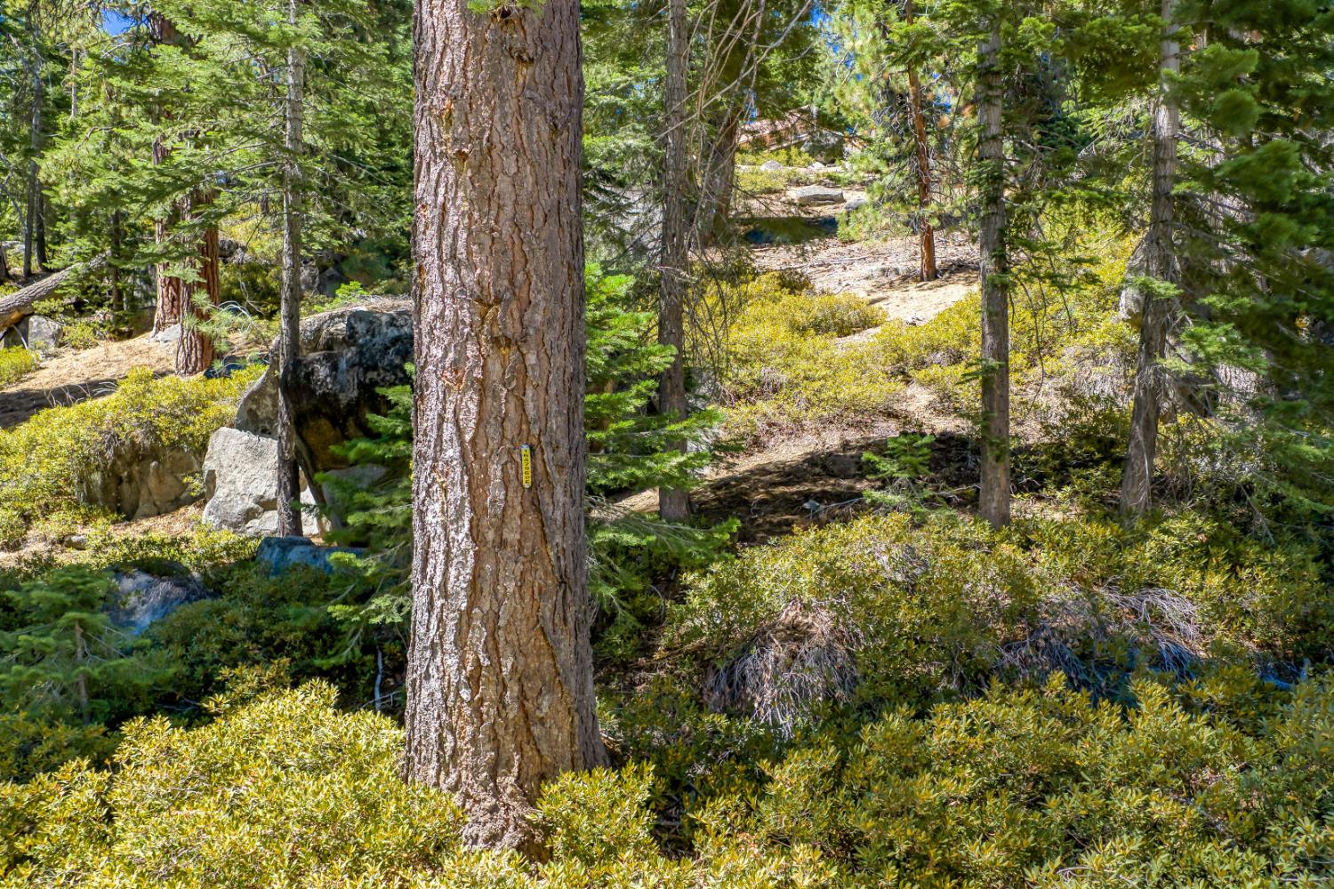 24 Bear Creek Ln, Lakeshore, CA 93664