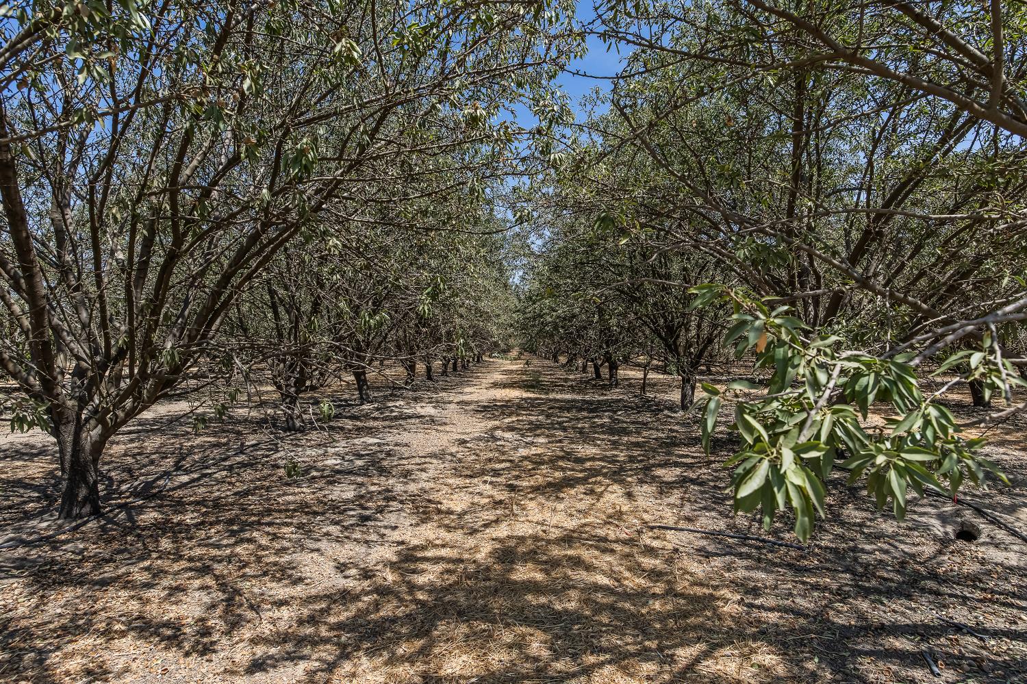 12002 Ave 184, Tulare, CA 93274