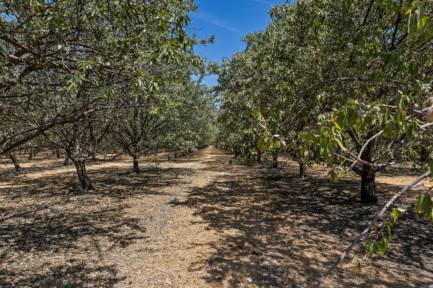 12002 Ave 184, Tulare, CA 93274