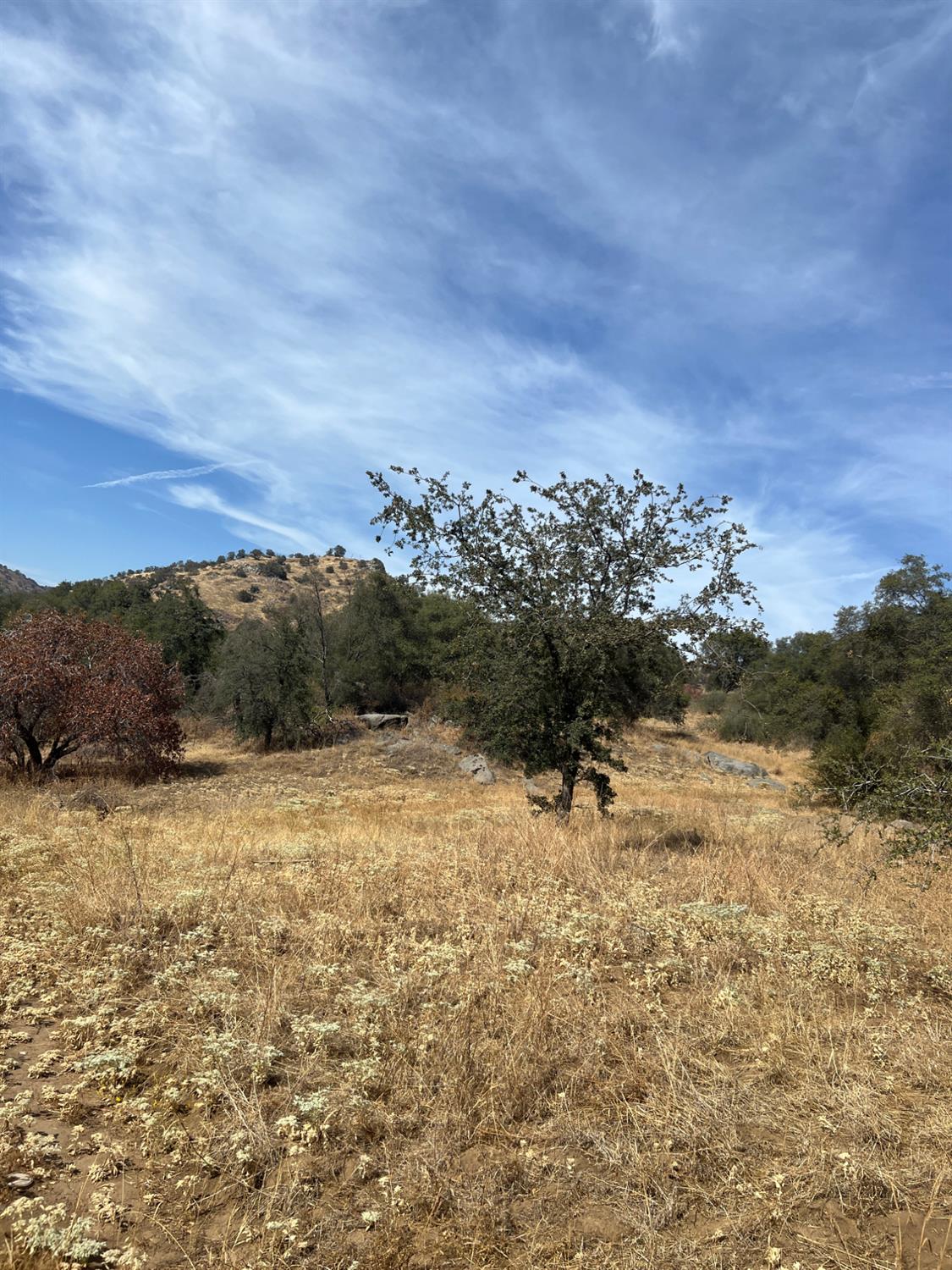0 0 Squaw Valley Rd, Yokuts Valley, CA 93675