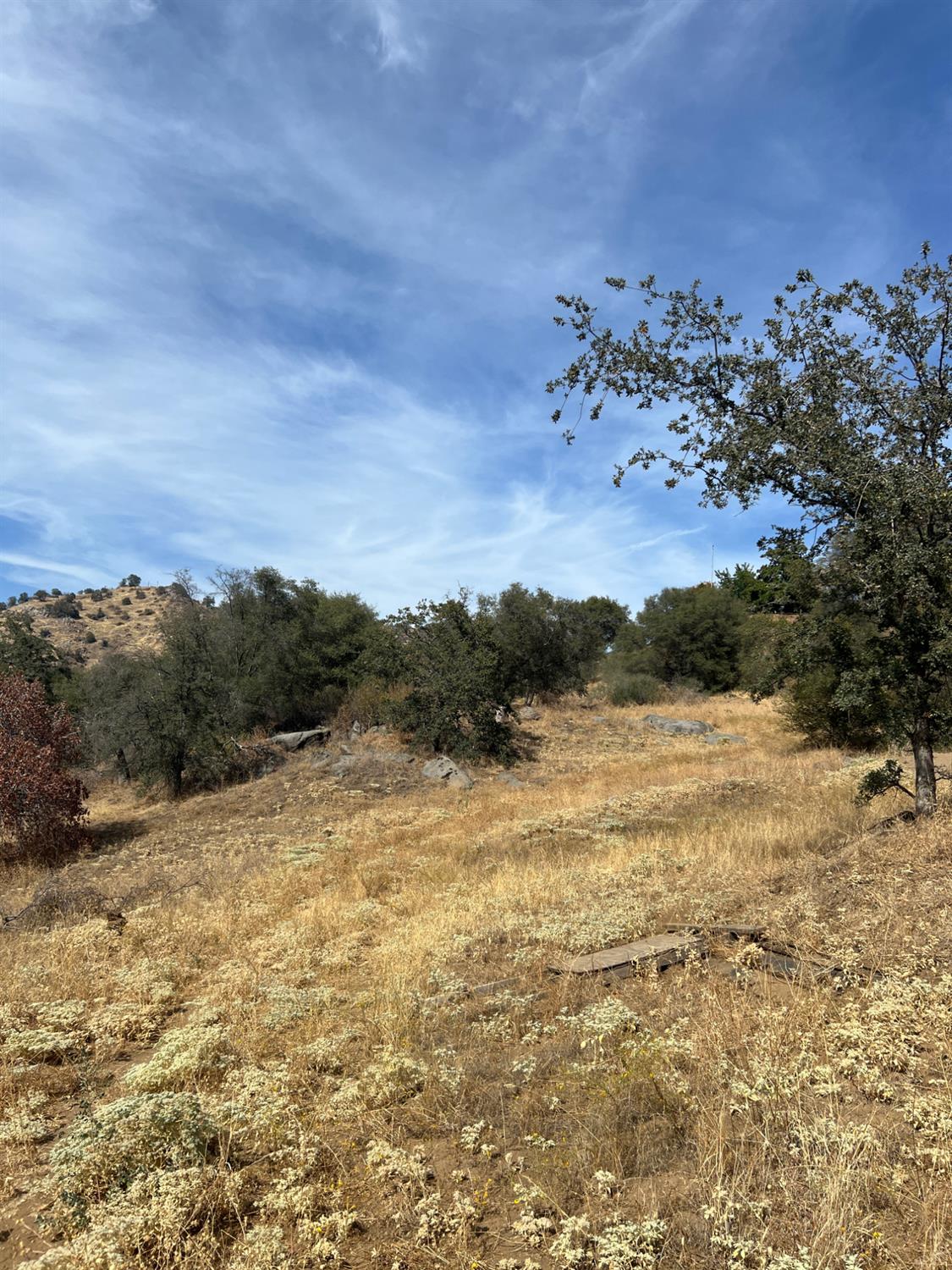 0 0 Squaw Valley Rd, Yokuts Valley, CA 93675