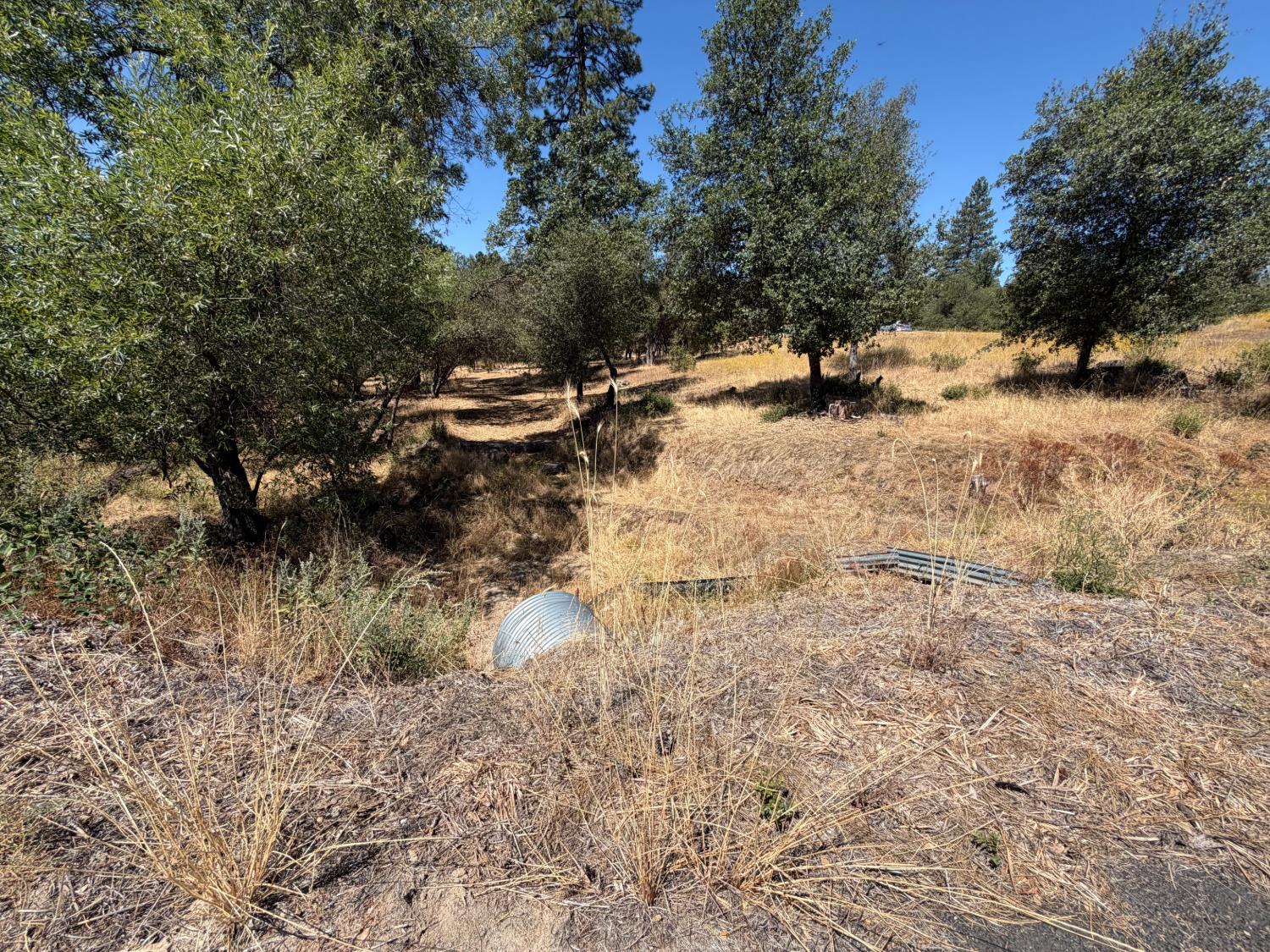 60 Klettes Pride Way, North Fork, CA 93643