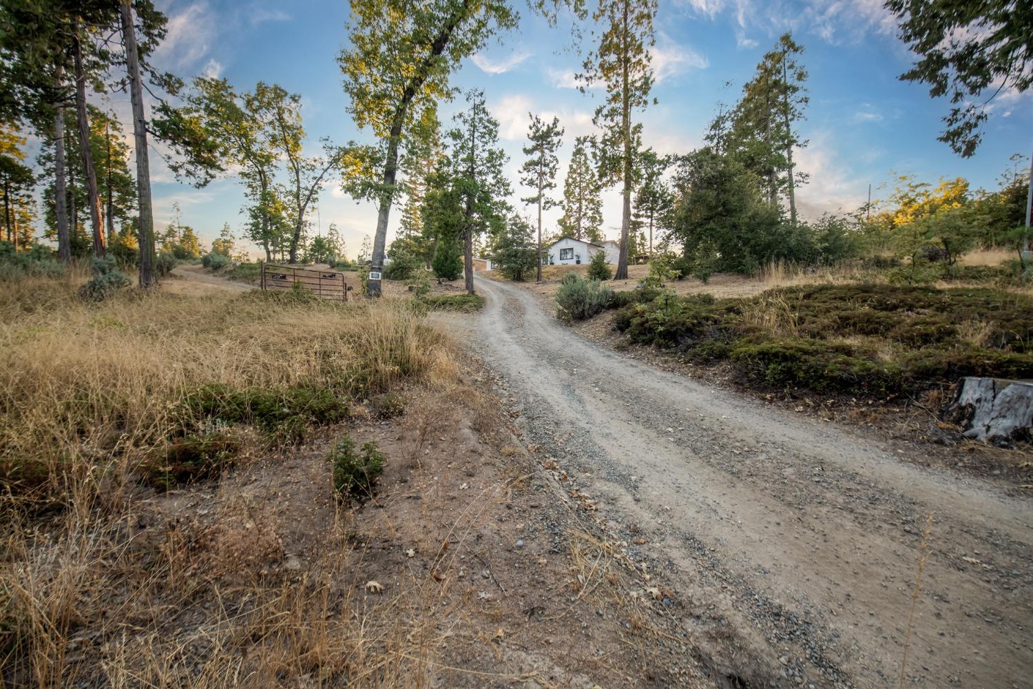 41789 Marmot Ln, Auberry, CA 93602