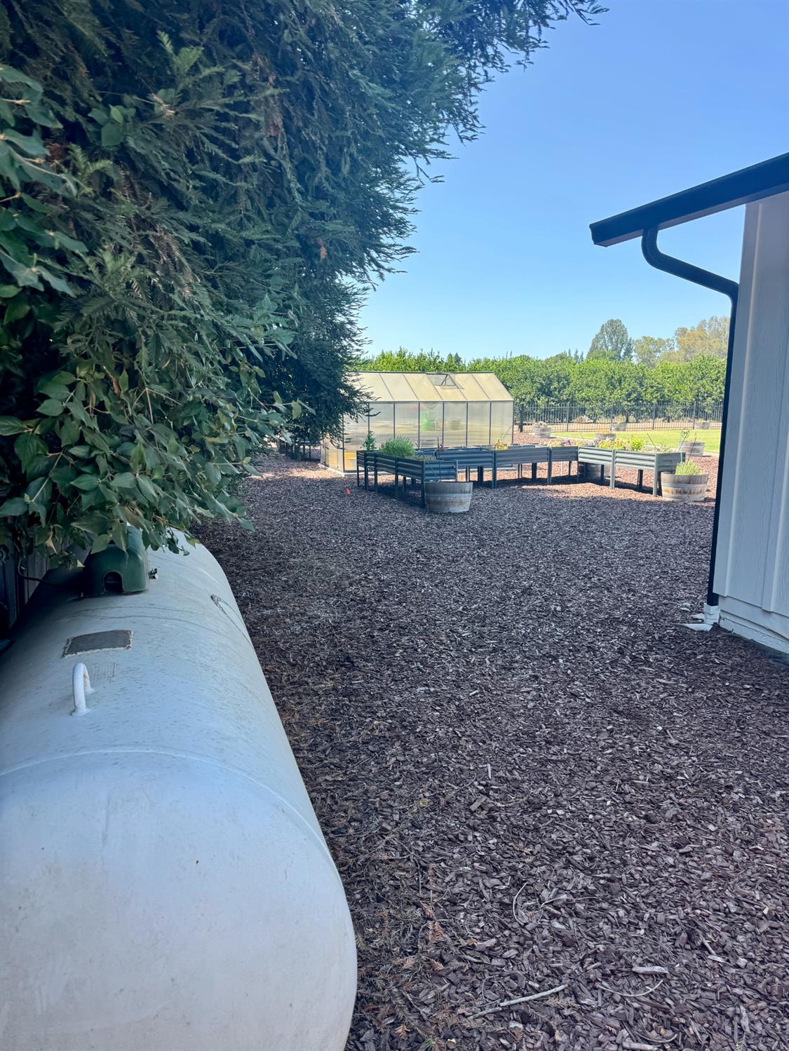 11735 E Santa Ana Ave, Clovis, CA 93619