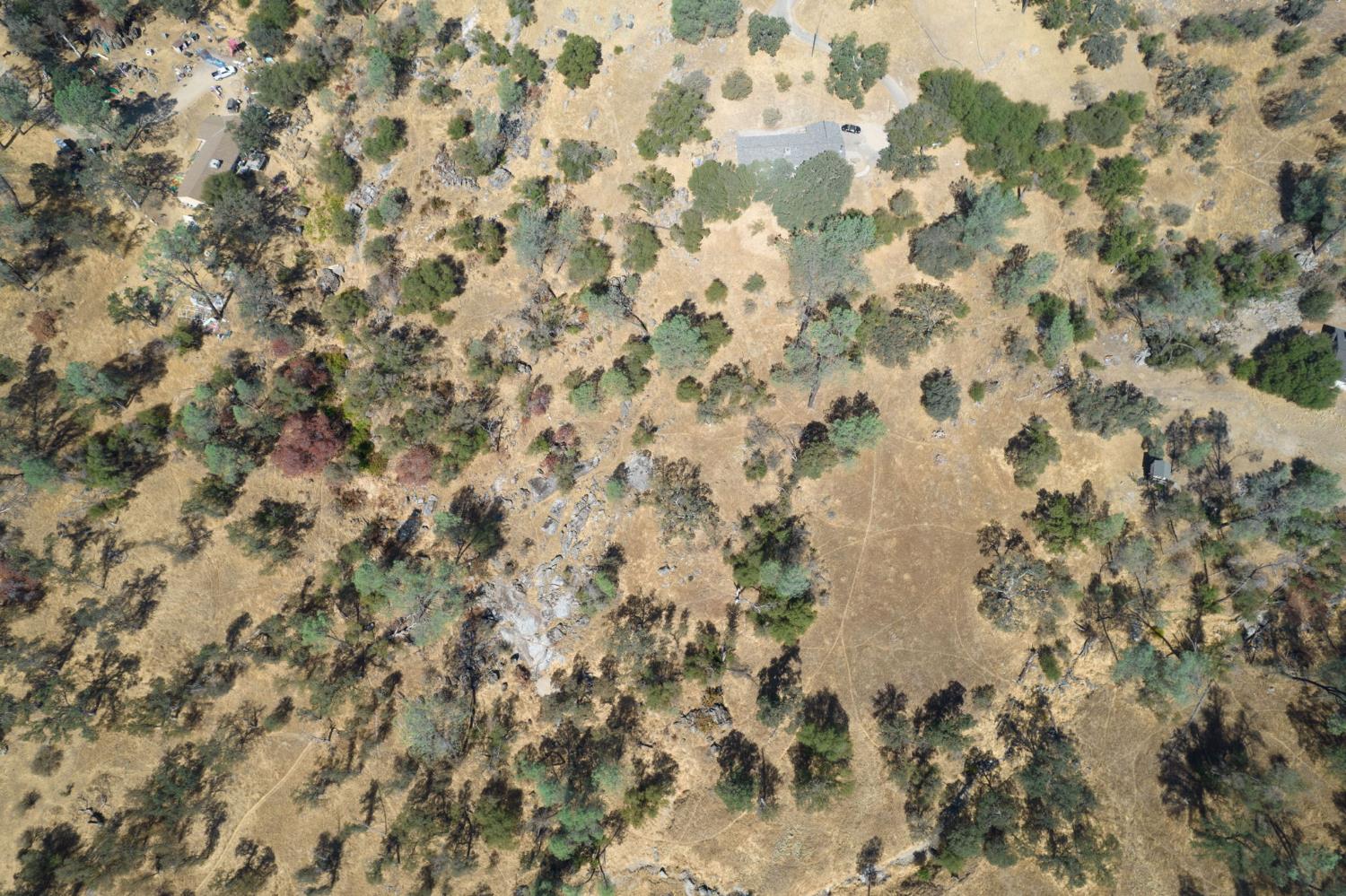 29703 Corral Ct S, Coarsegold, CA 93614