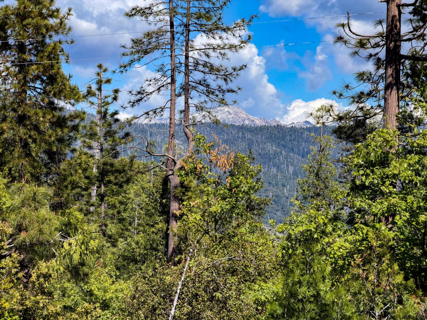 39420 Manzanita Dr, Oakhurst, CA 93644