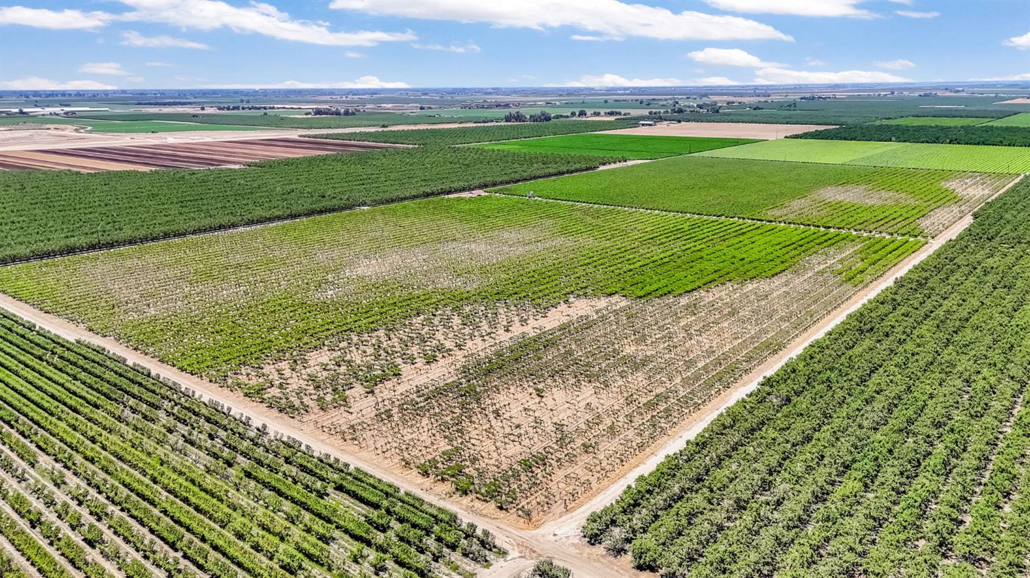 1 Davis, Laton, CA 93242