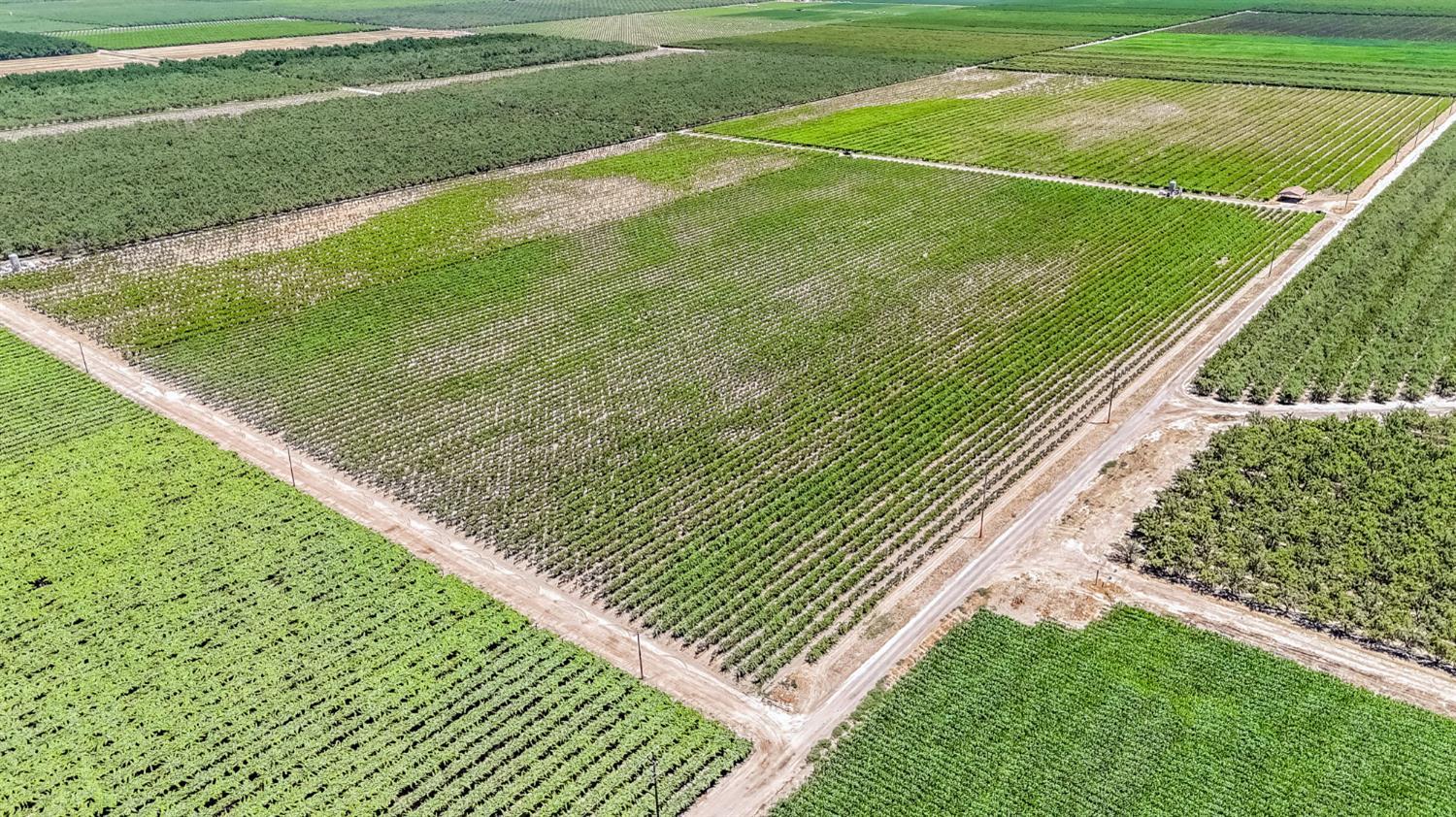1 Davis, Laton, CA 93242