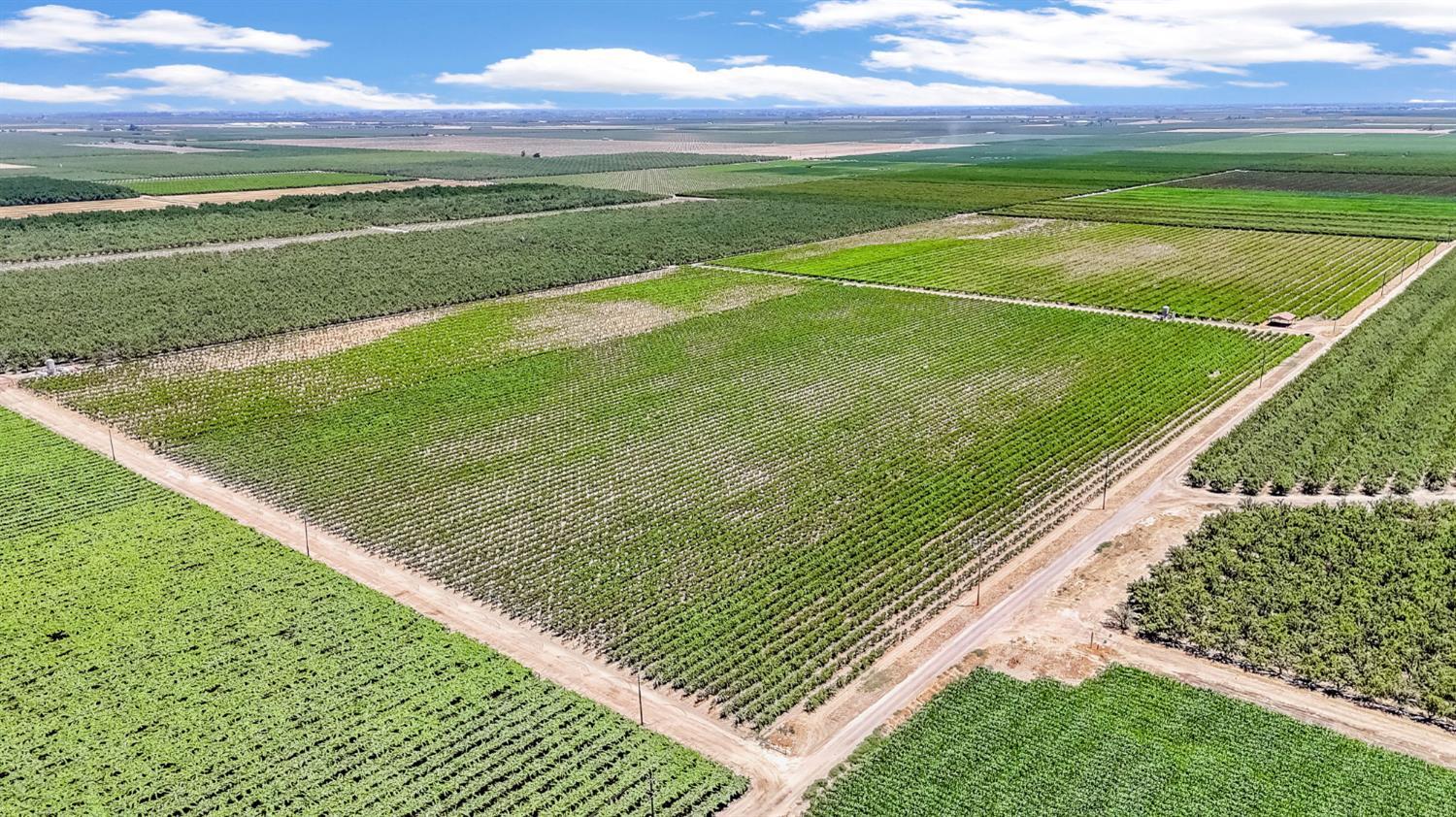 1 Davis, Laton, CA 93242