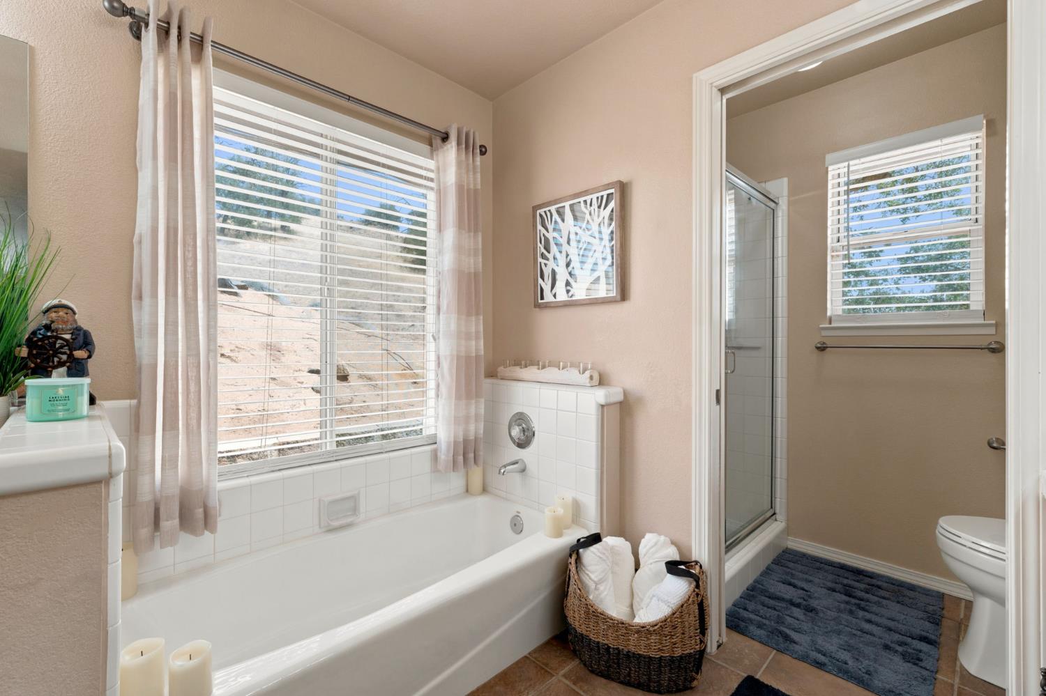 21987 Mary Rebecca Ln, Friant, CA 93626