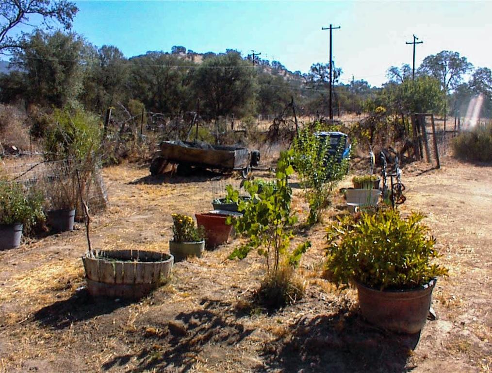 37033 Dunlap Rd, Yokuts Valley, CA 93675