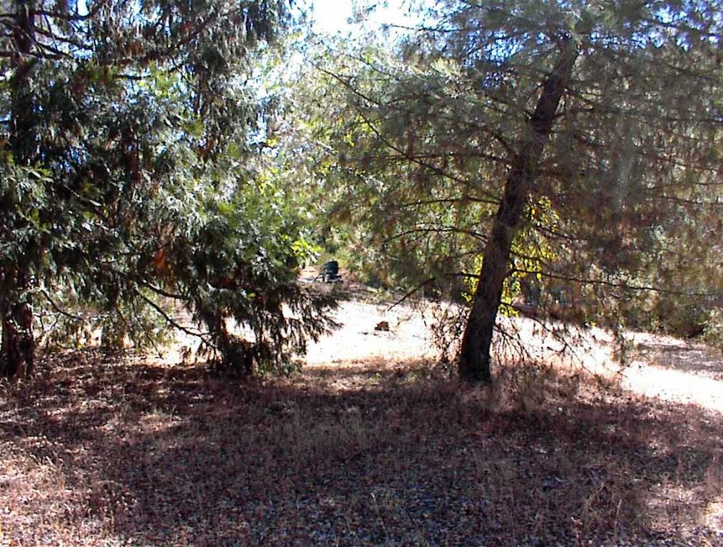 37033 Dunlap Rd, Yokuts Valley, CA 93675