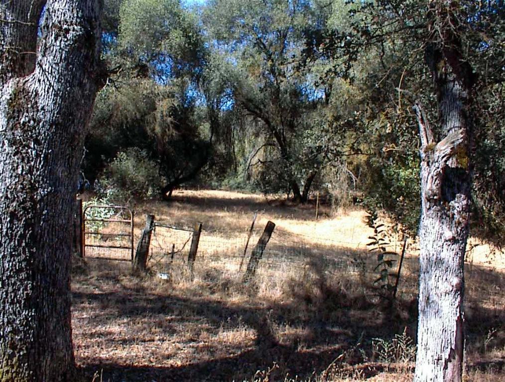 37033 Dunlap Rd, Yokuts Valley, CA 93675