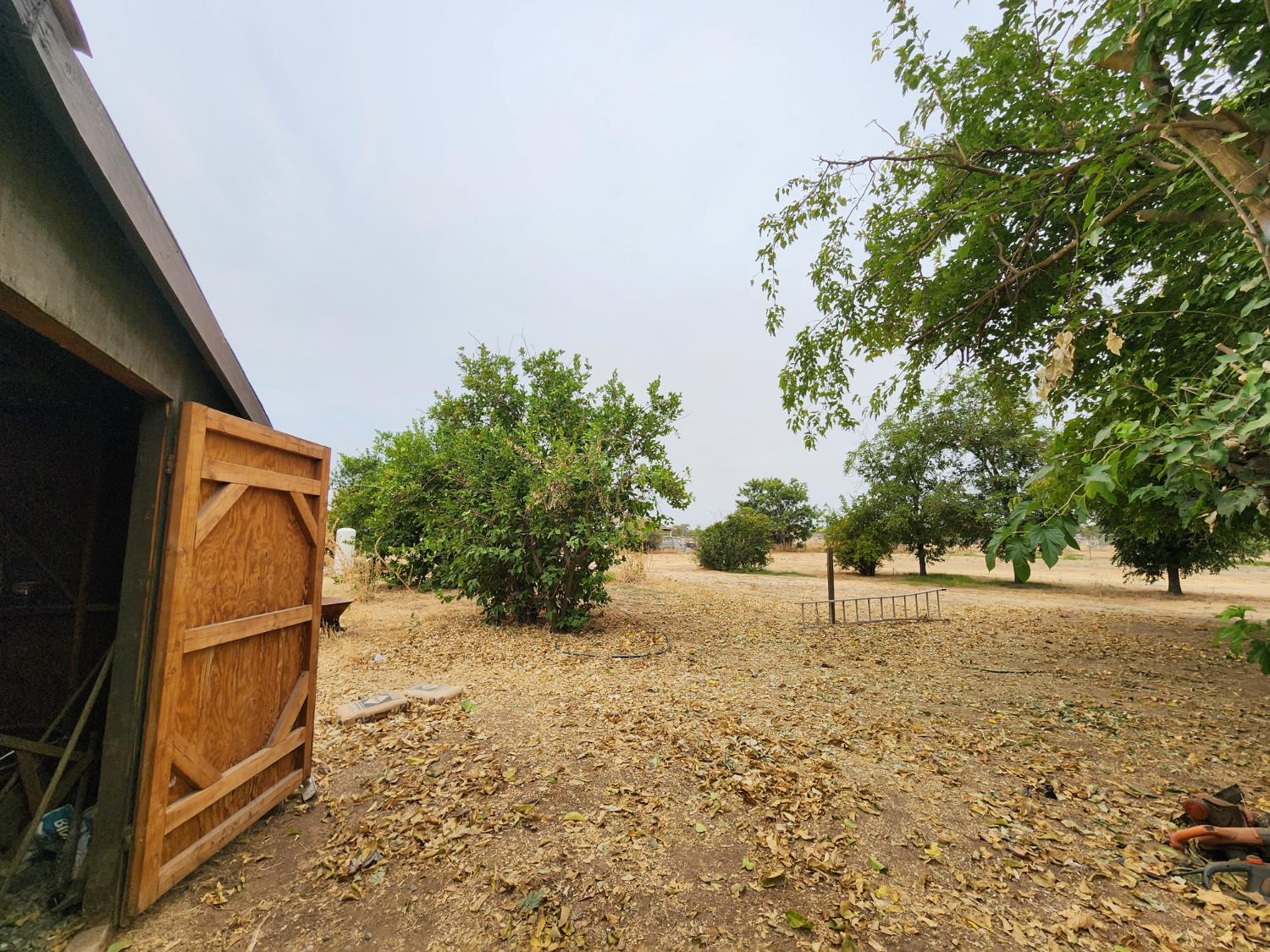 24624 Tropical Dr, Madera, CA 93638