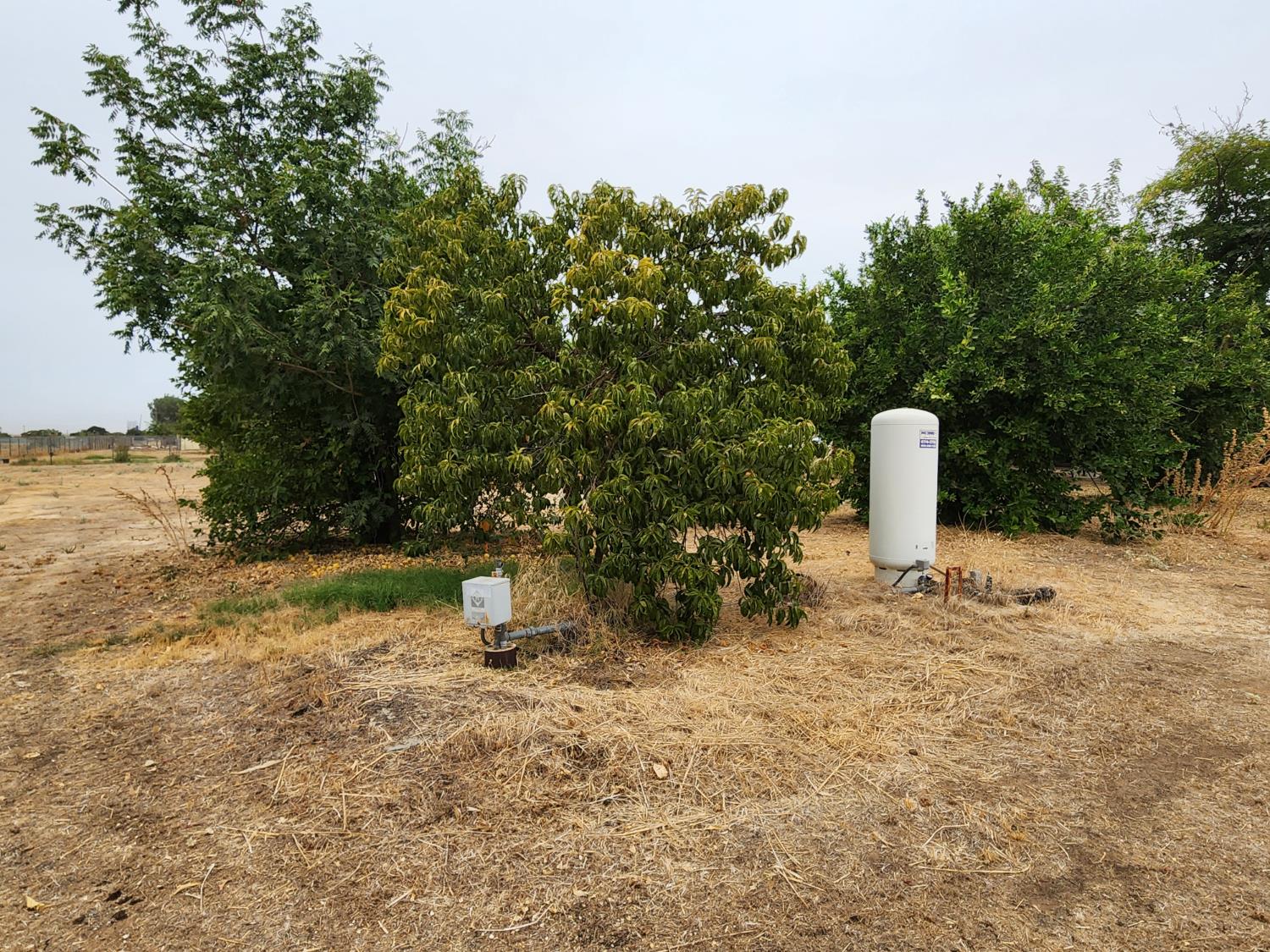 24624 Tropical Dr, Madera, CA 93638