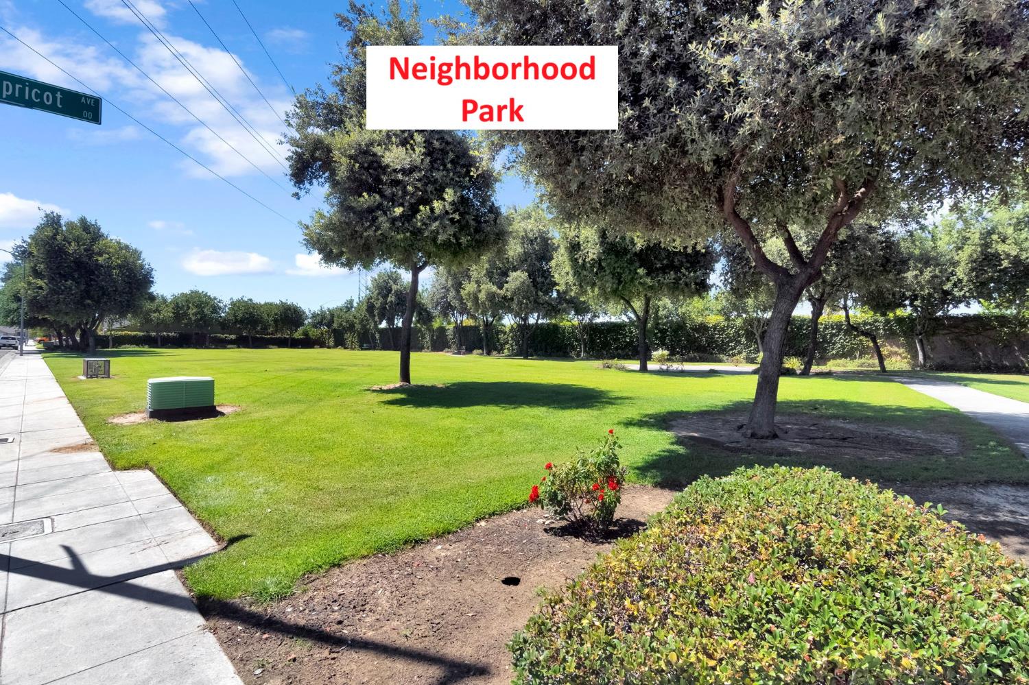 454 S Apricot Ave, Fresno, CA 93727