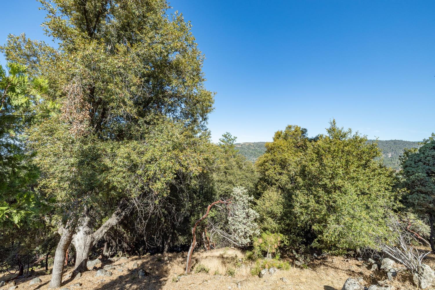 51300 Buckskin Ln, Oakhurst, CA 93644
