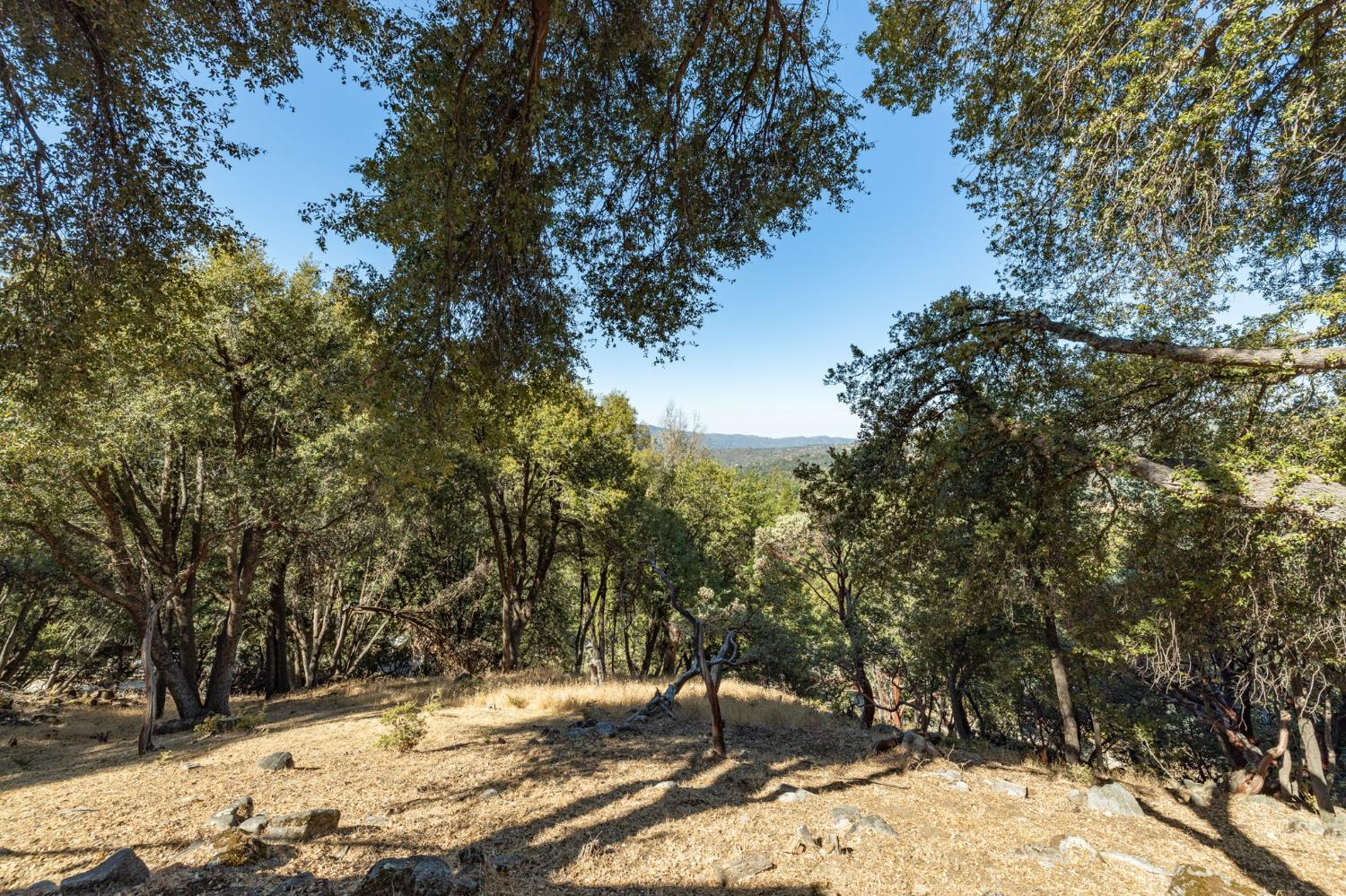 51300 Buckskin Ln, Oakhurst, CA 93644