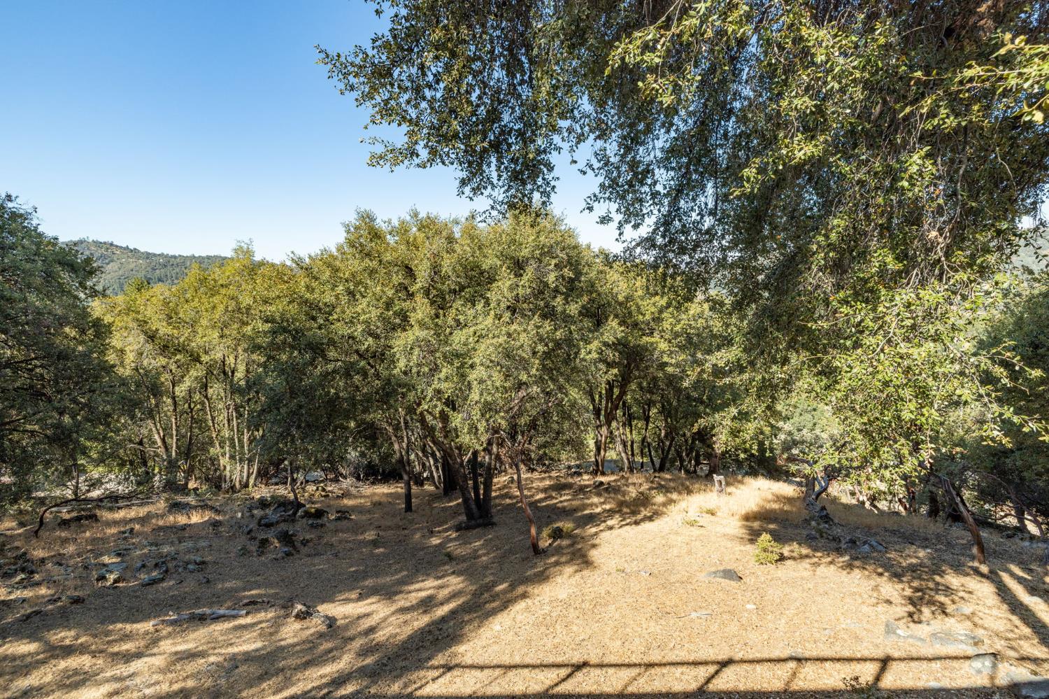 51300 Buckskin Ln, Oakhurst, CA 93644