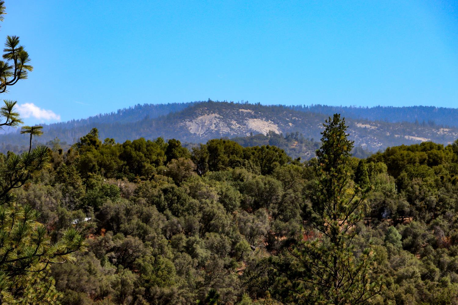38393 Crestview Ln, Oakhurst, CA 93644
