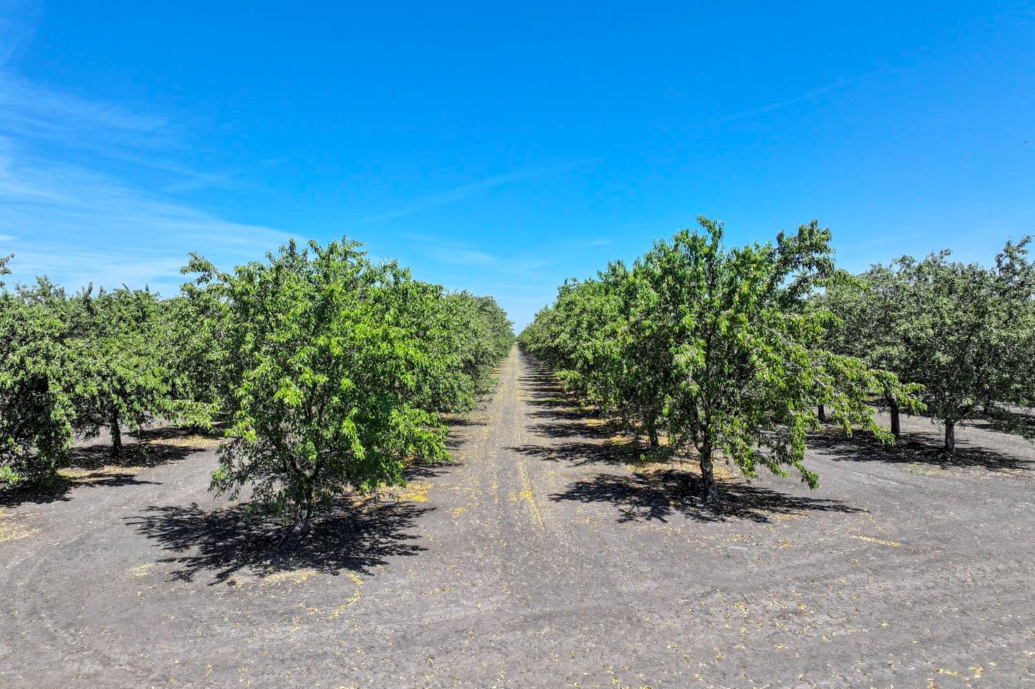 0 0 Springfield Ave, San Joaquin, CA 93660