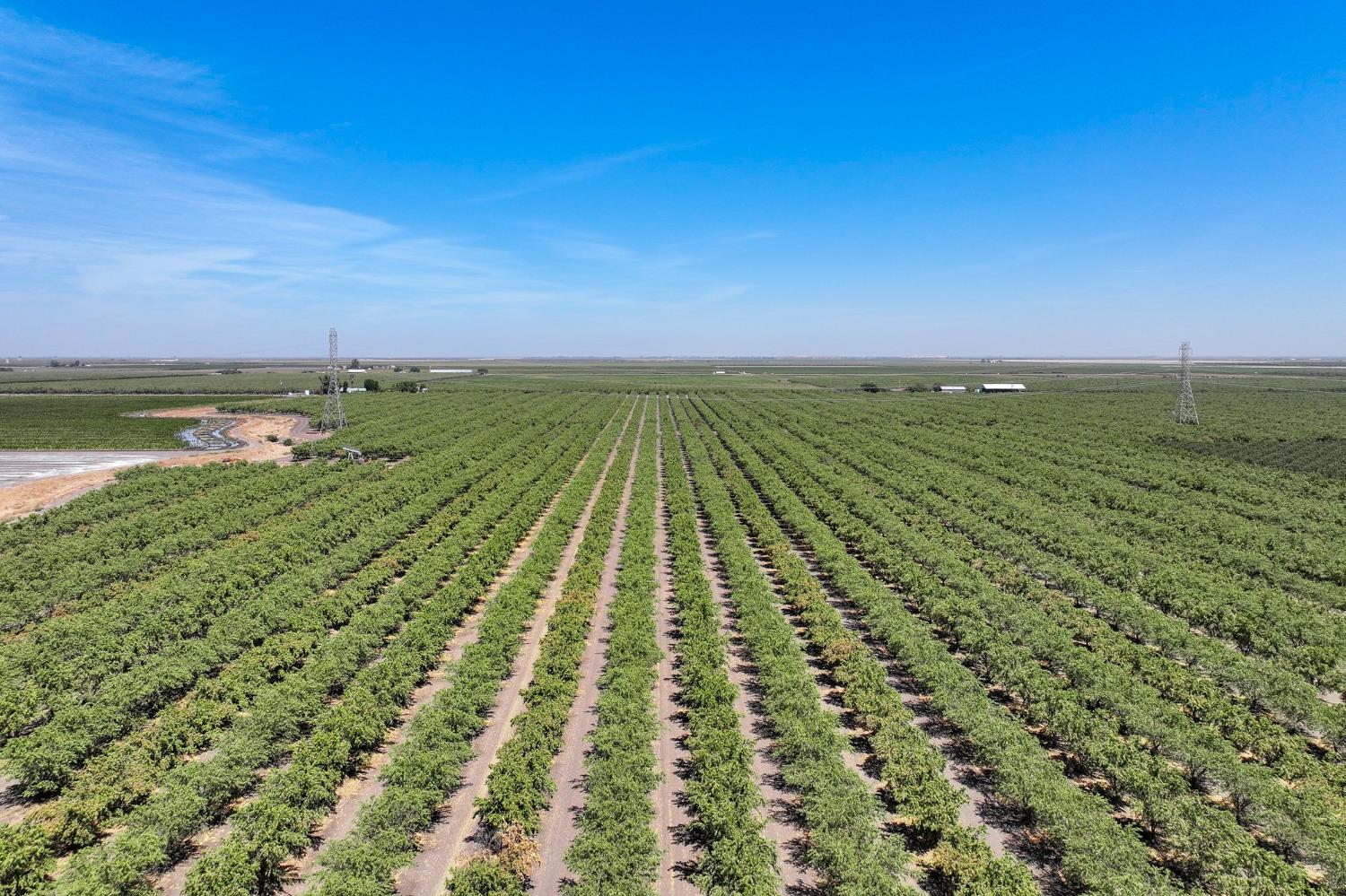 0 0 Springfield Ave, San Joaquin, CA 93660