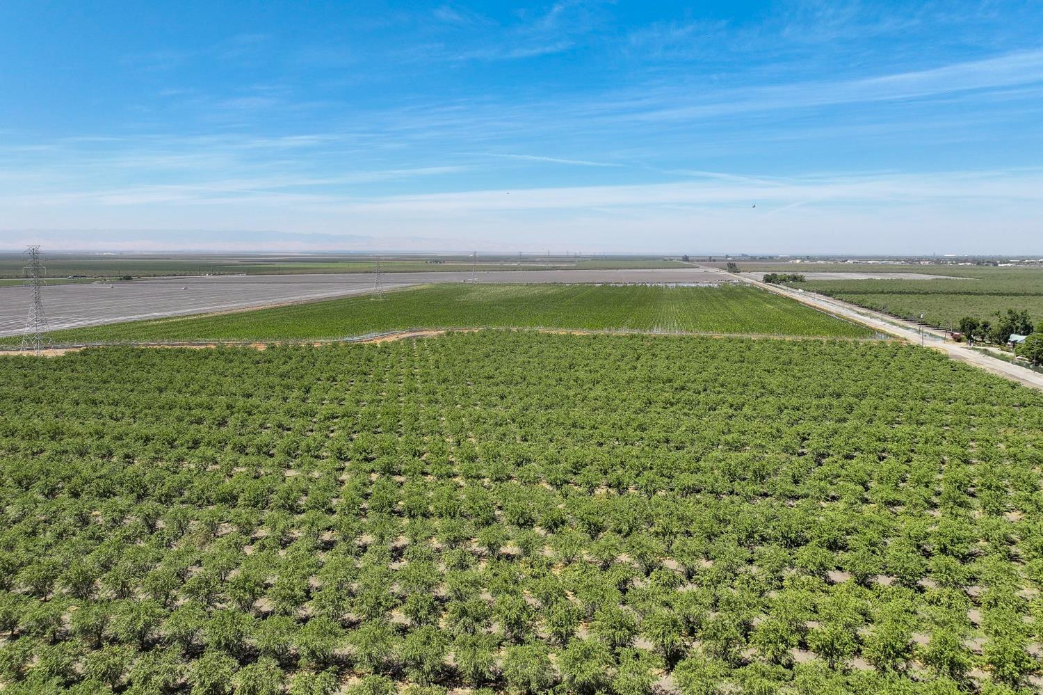 0 0 Springfield Ave, San Joaquin, CA 93660