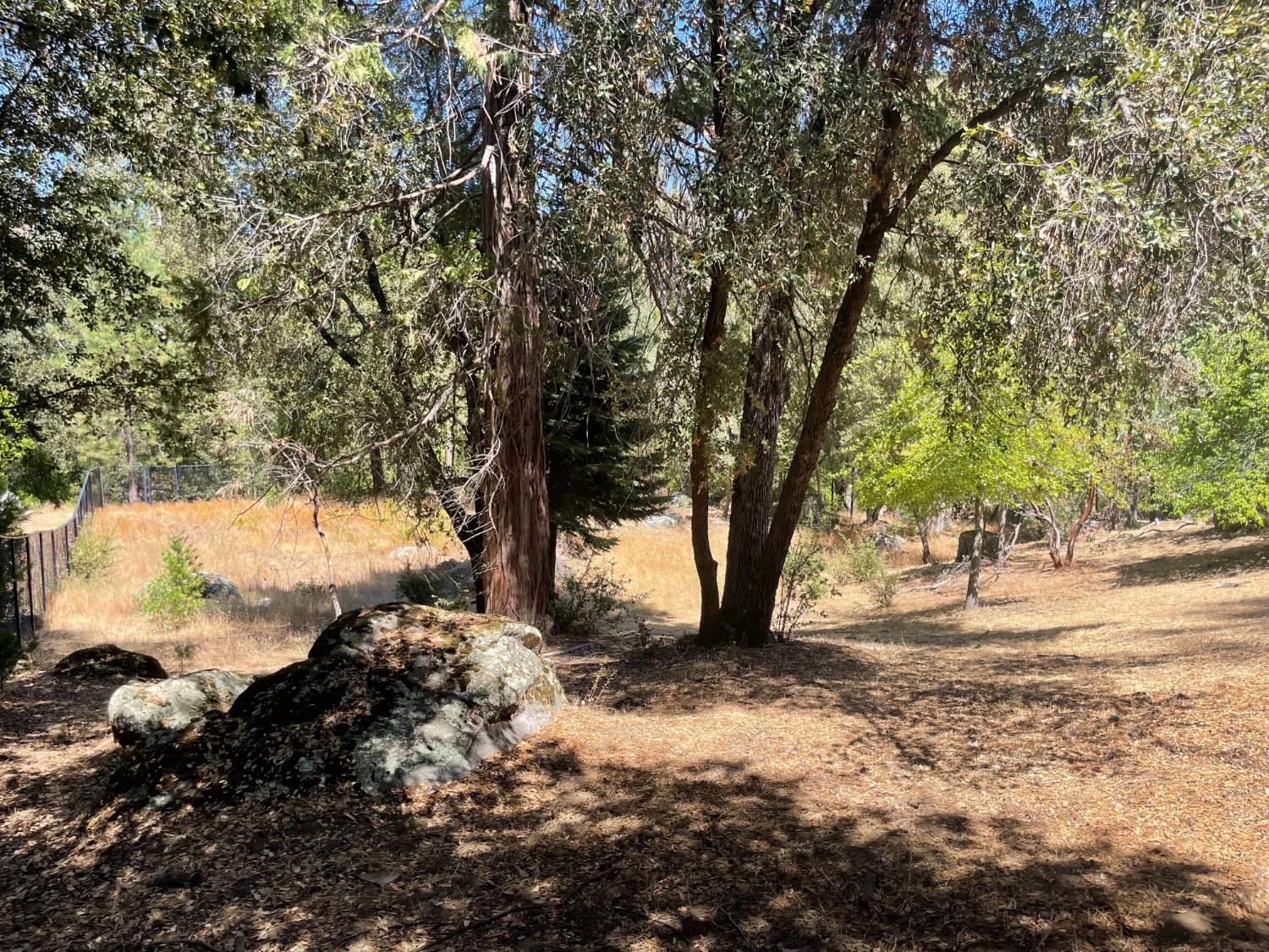 5601 Red Ibis Ct, Mariposa, CA 95338