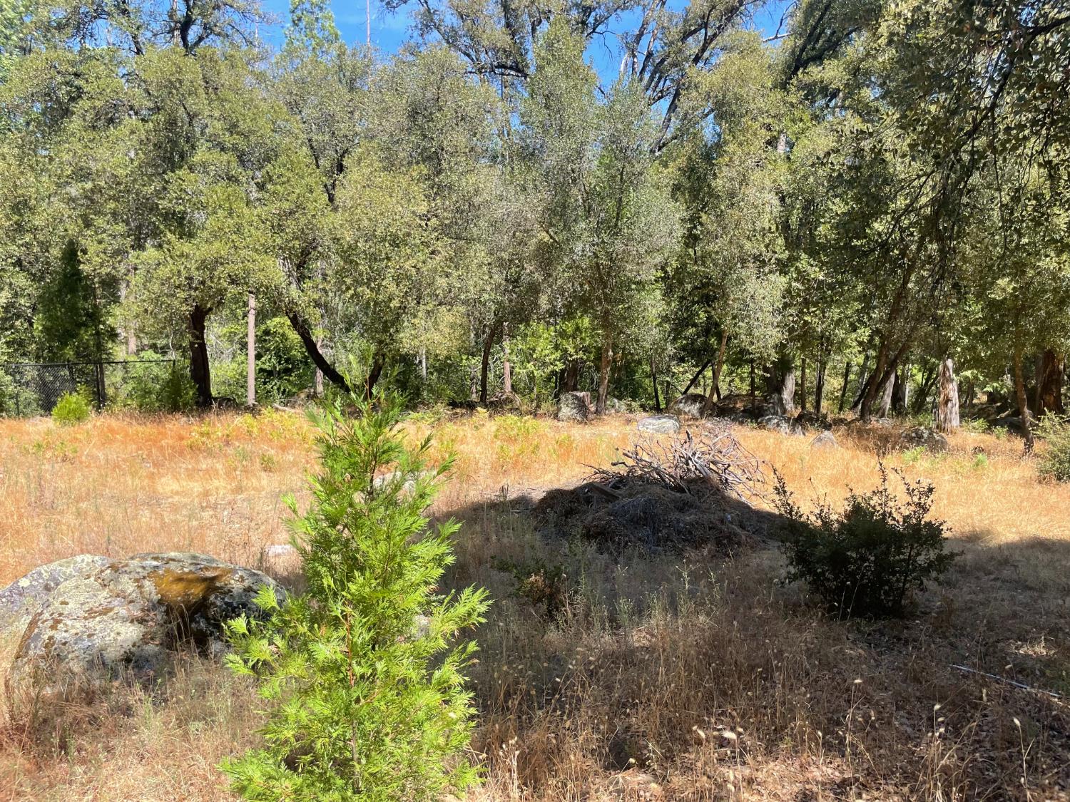 5601 Red Ibis Ct, Mariposa, CA 95338