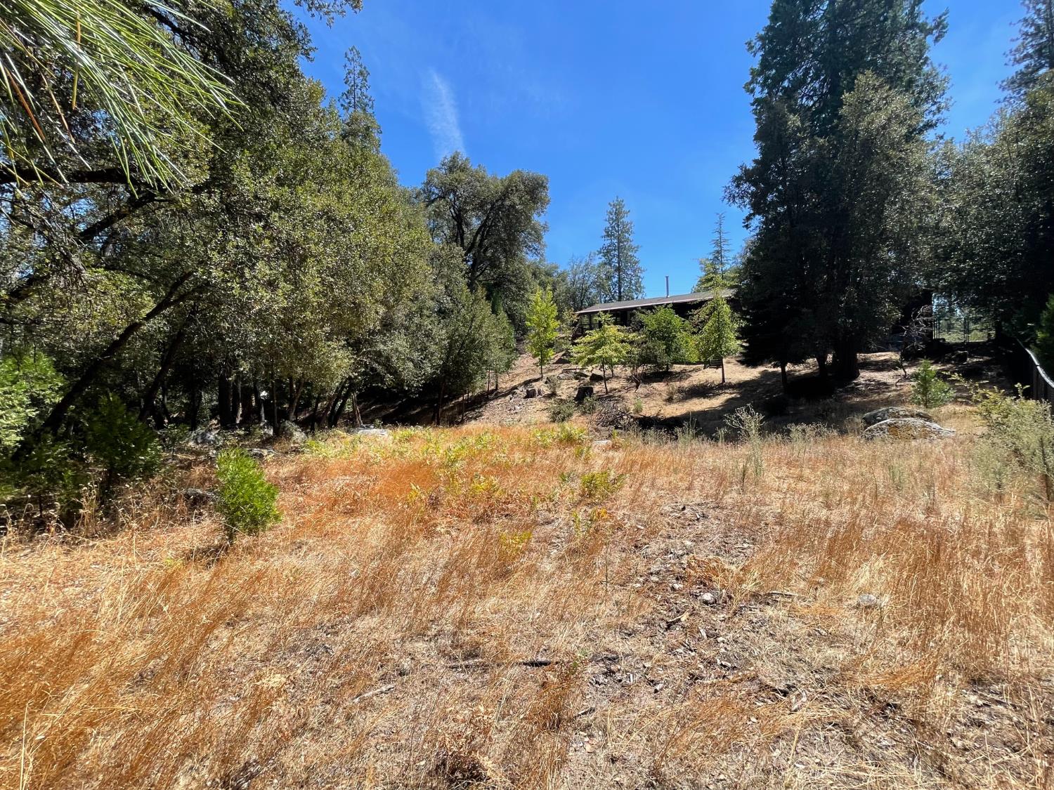 5601 Red Ibis Ct, Mariposa, CA 95338