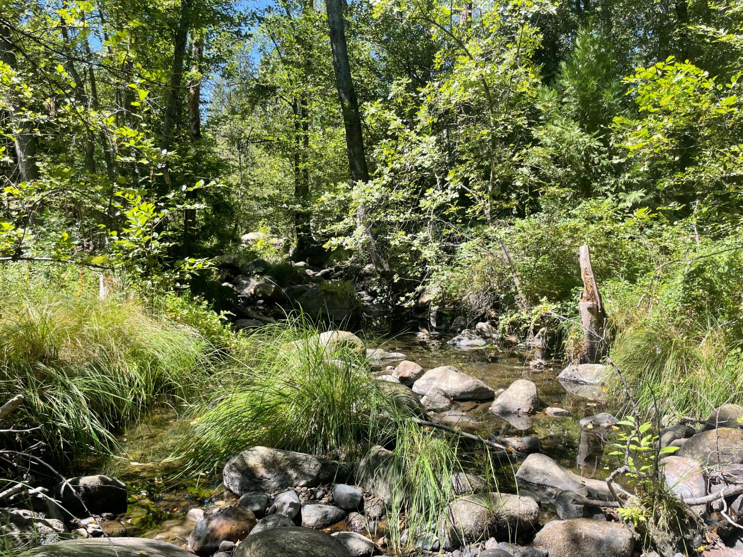5601 Red Ibis Ct, Mariposa, CA 95338