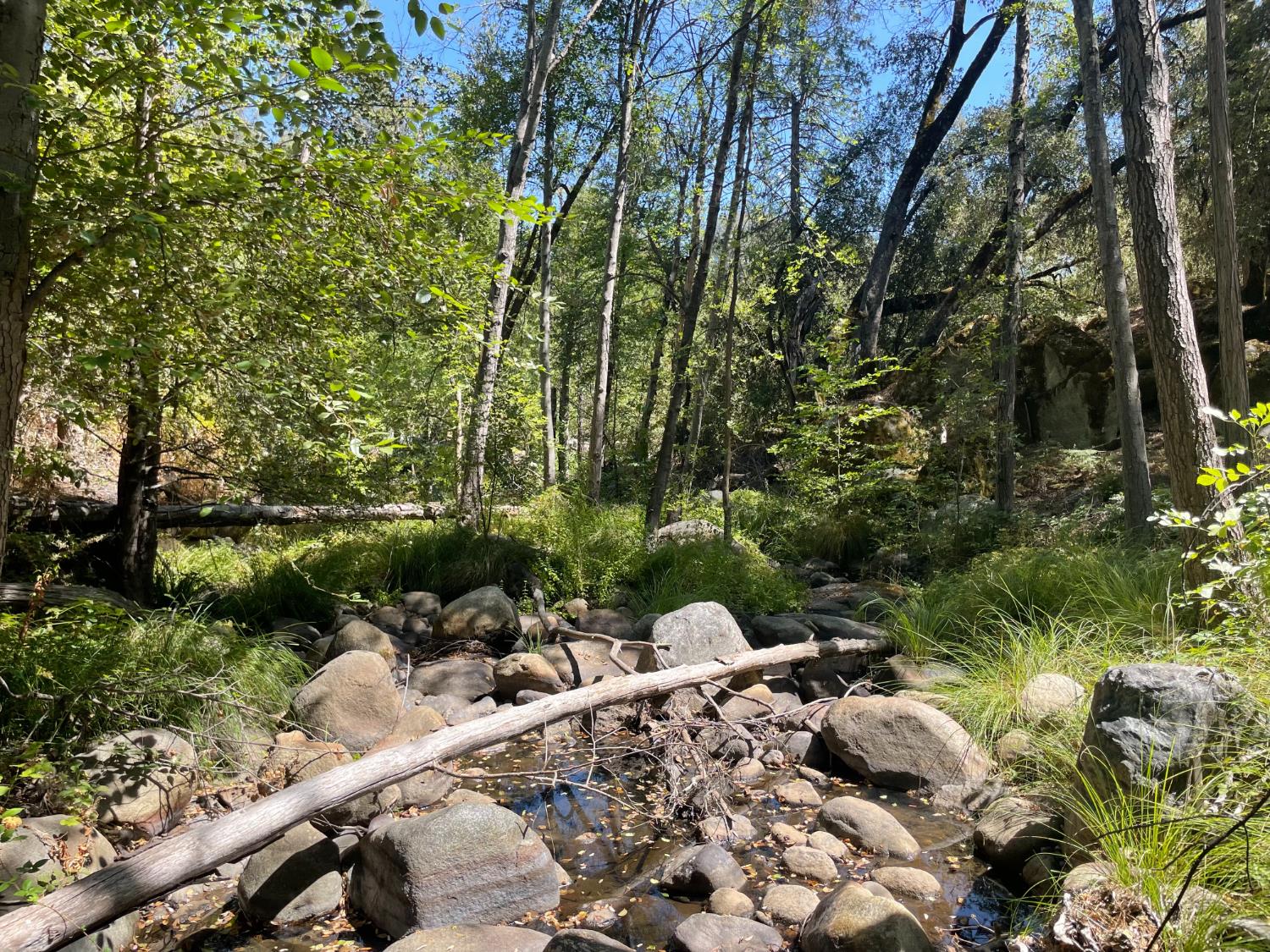 5601 Red Ibis Ct, Mariposa, CA 95338