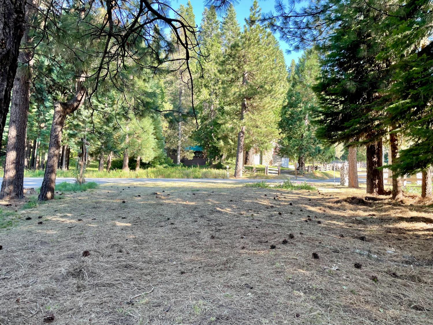 8 Hwy 41, Fish Camp, CA 93623