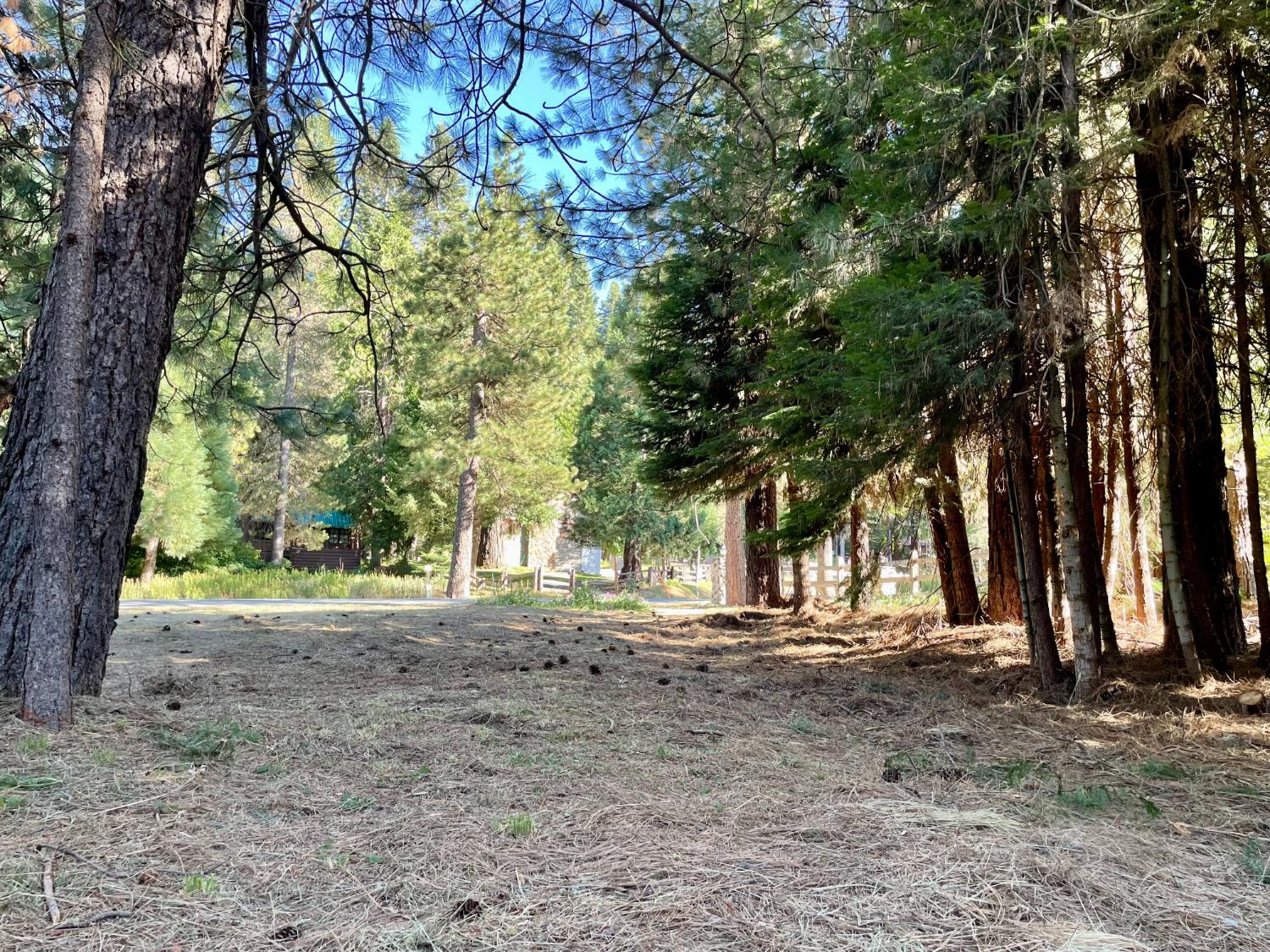8 Hwy 41, Fish Camp, CA 93623