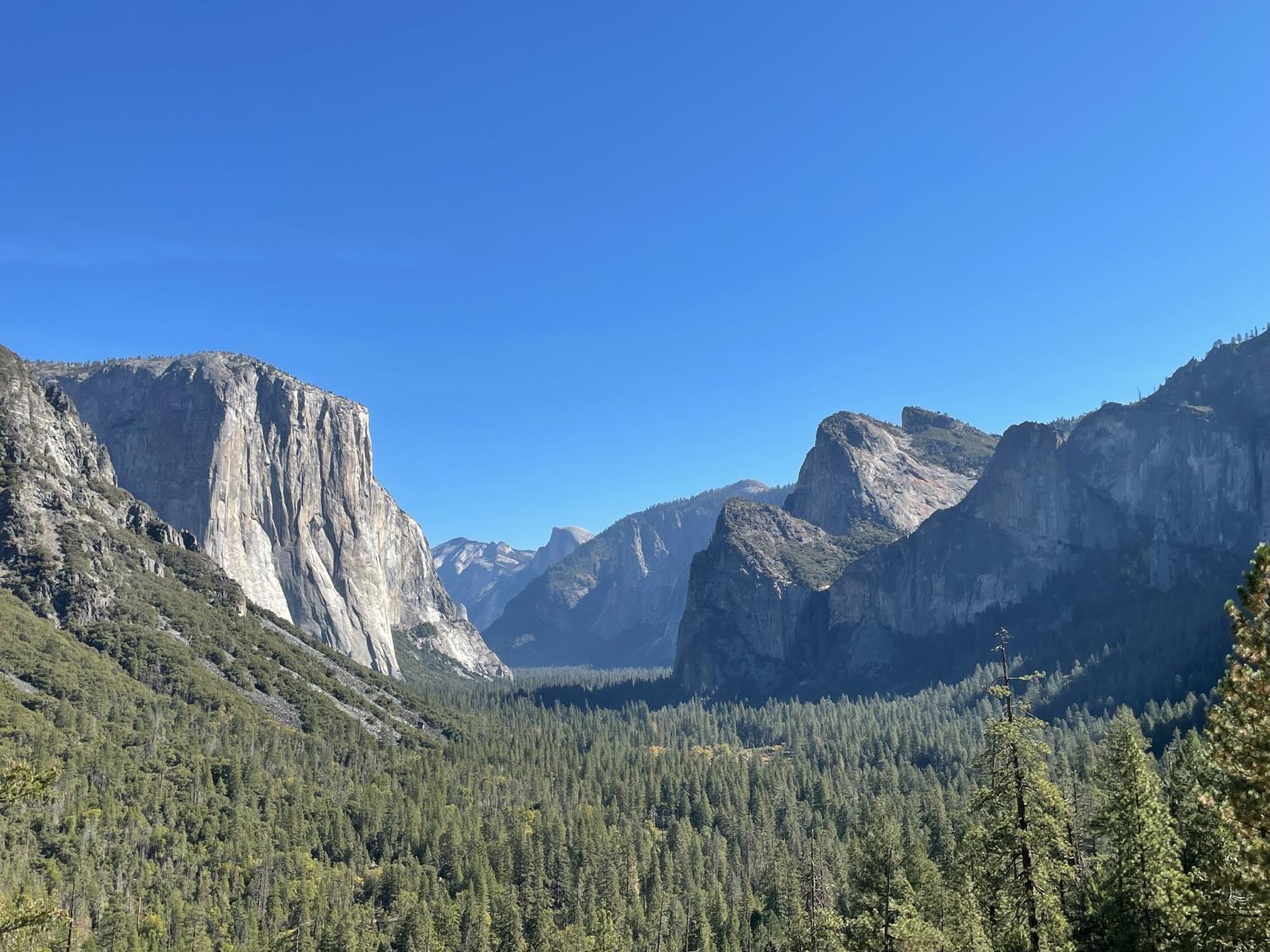 8 Hwy 41, Fish Camp, CA 93623