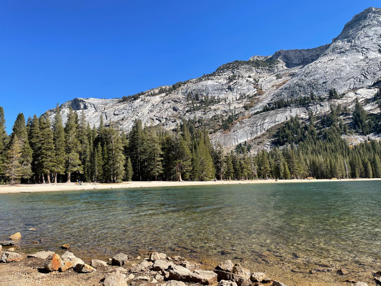 8 Hwy 41, Fish Camp, CA 93623