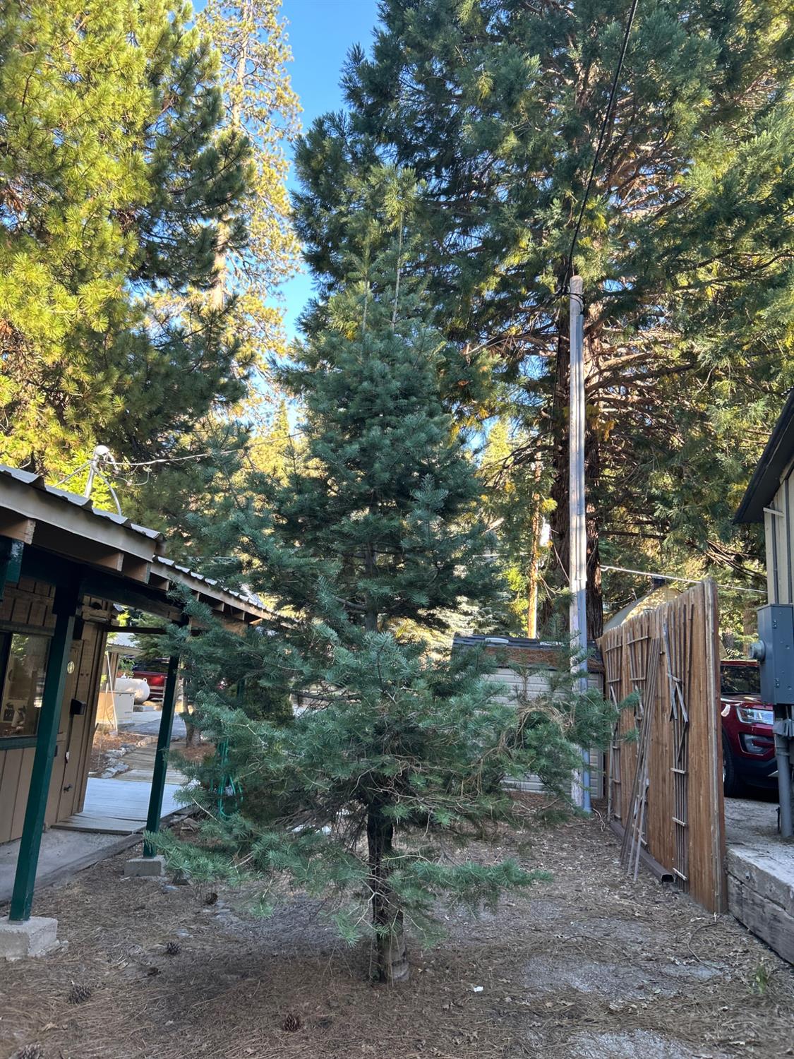 1237 Cedar Ave, Fish Camp, CA 93623