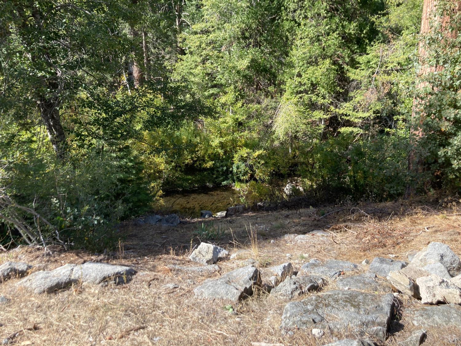 1237 Cedar Ave, Fish Camp, CA 93623