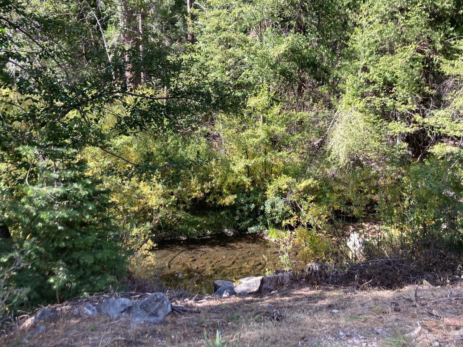 1237 Cedar Ave, Fish Camp, CA 93623